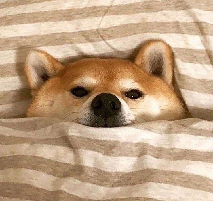 관심 유저 프로필 이미지