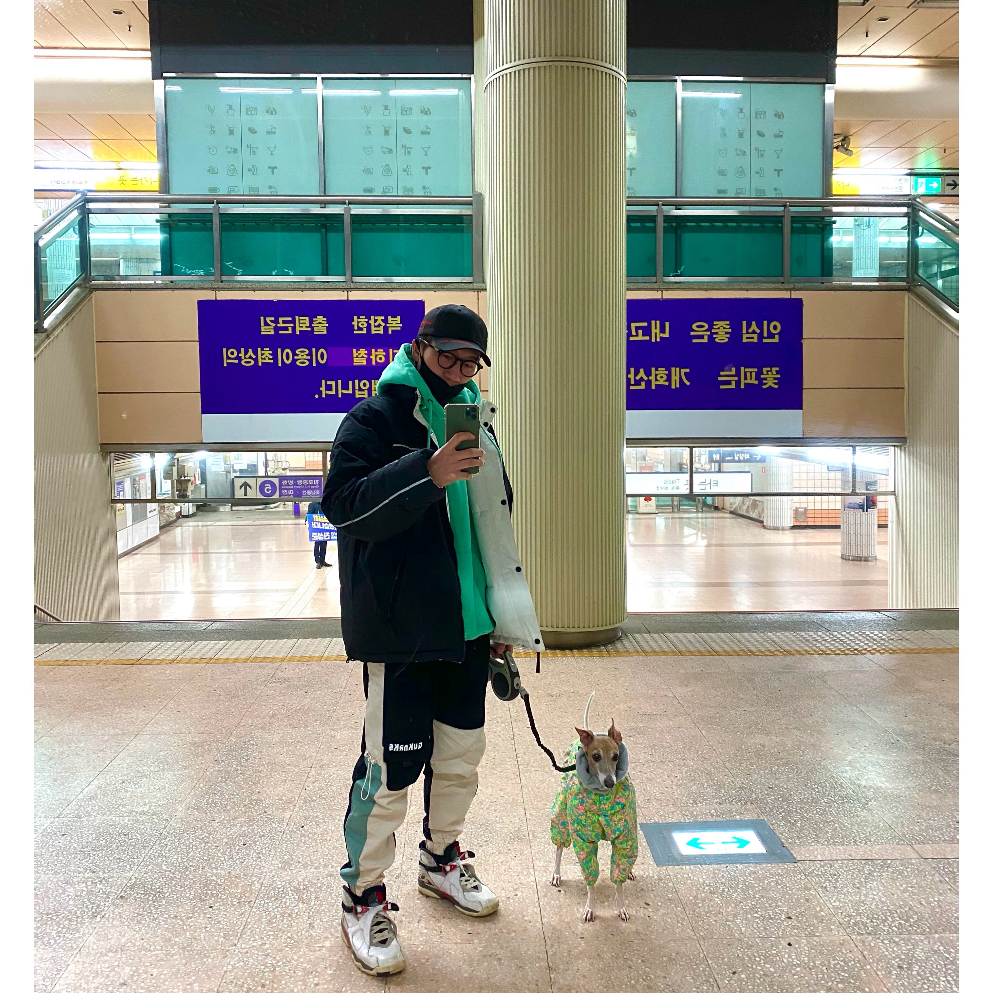 ์์
์ด๋ฏธ์ง