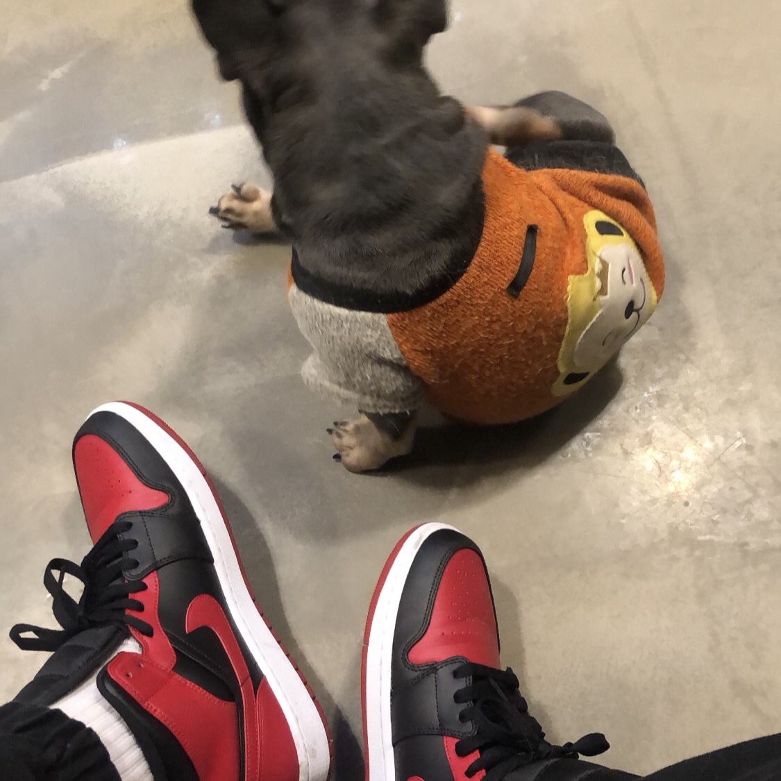 Jordan 1 Mid Bred Banned 2020 착용 스타일