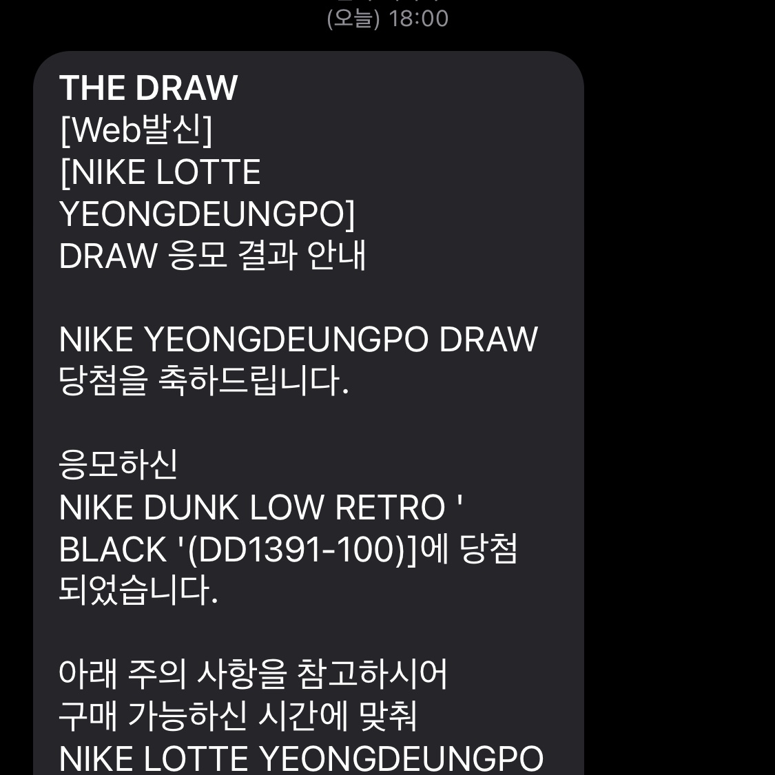 Nike Dunk Low Retro Black 착용 스타일