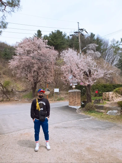 스타일 카드
