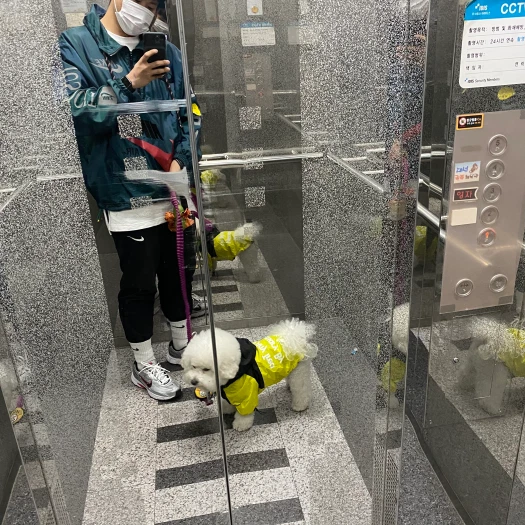 스타일 카드