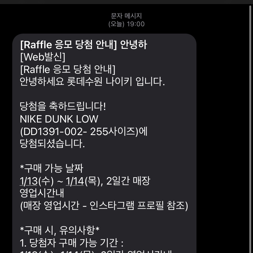 Nike Dunk Low Retro Medium Grey 착용 스타일 - 4