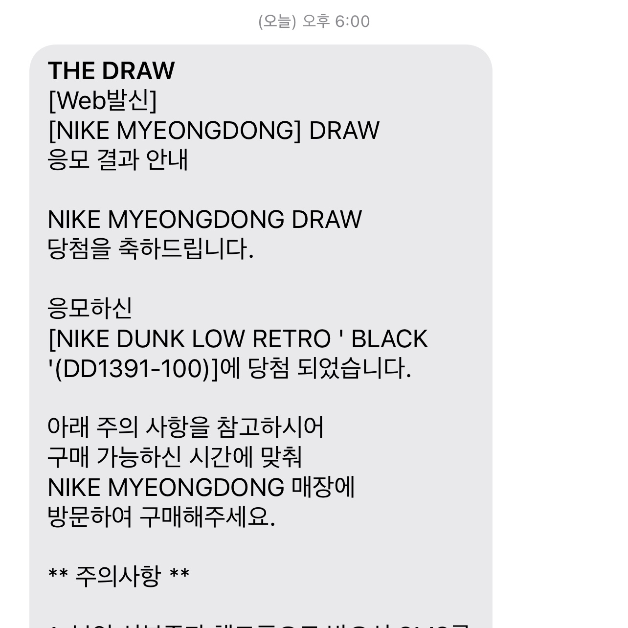 Nike Dunk Low Retro Black 착용 스타일