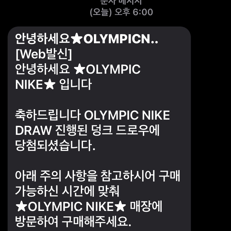 Nike Dunk Low Retro Black 착용 스타일 - 2