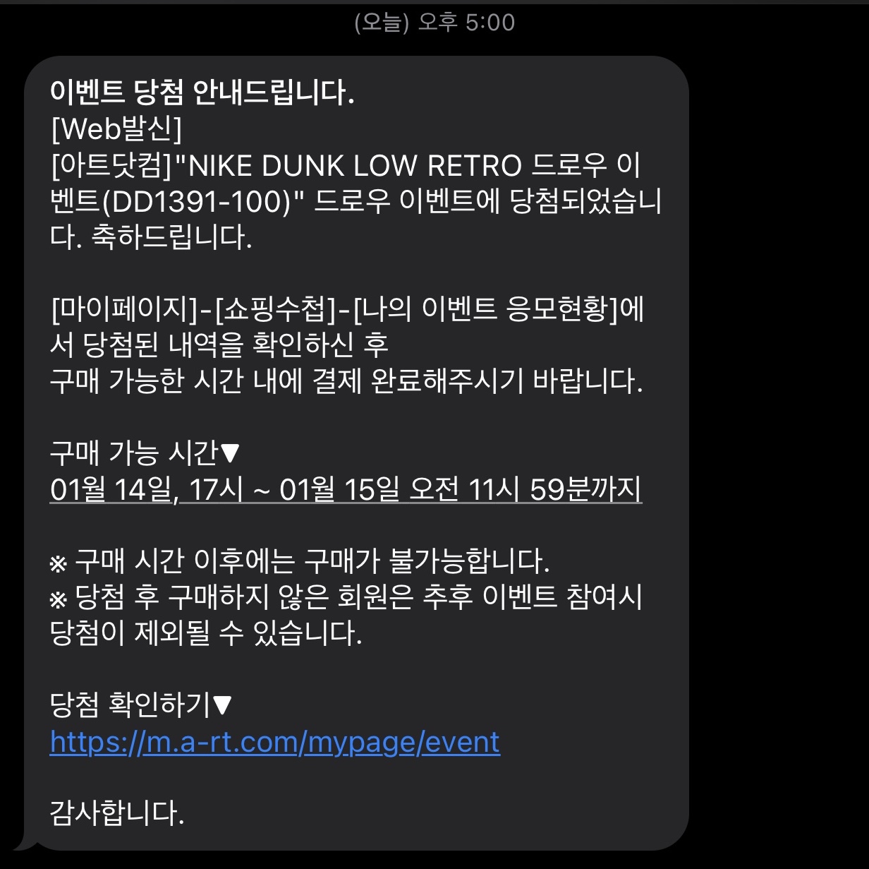 Nike Dunk Low Retro Black 착용 스타일