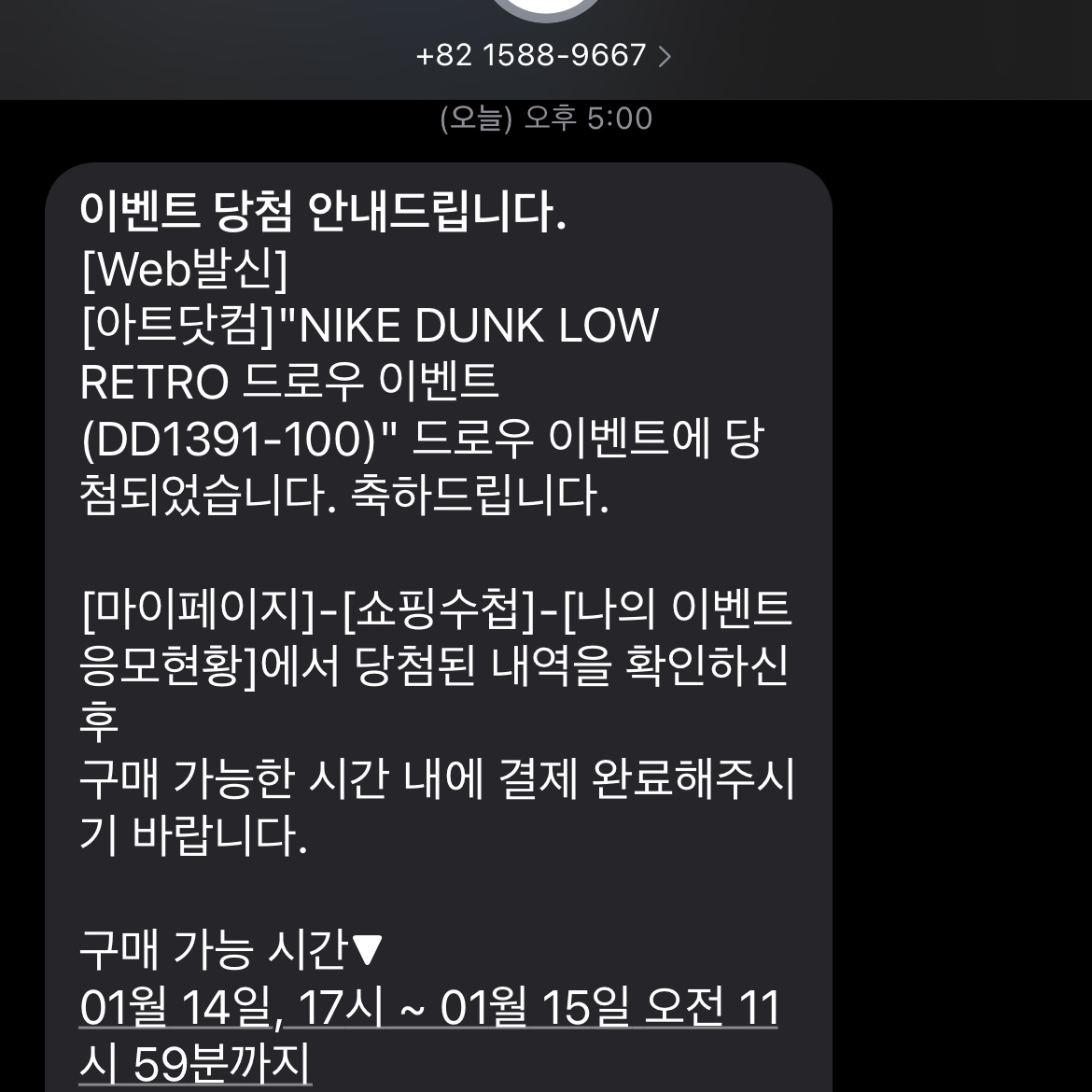 Nike Dunk Low Retro Black 착용 스타일