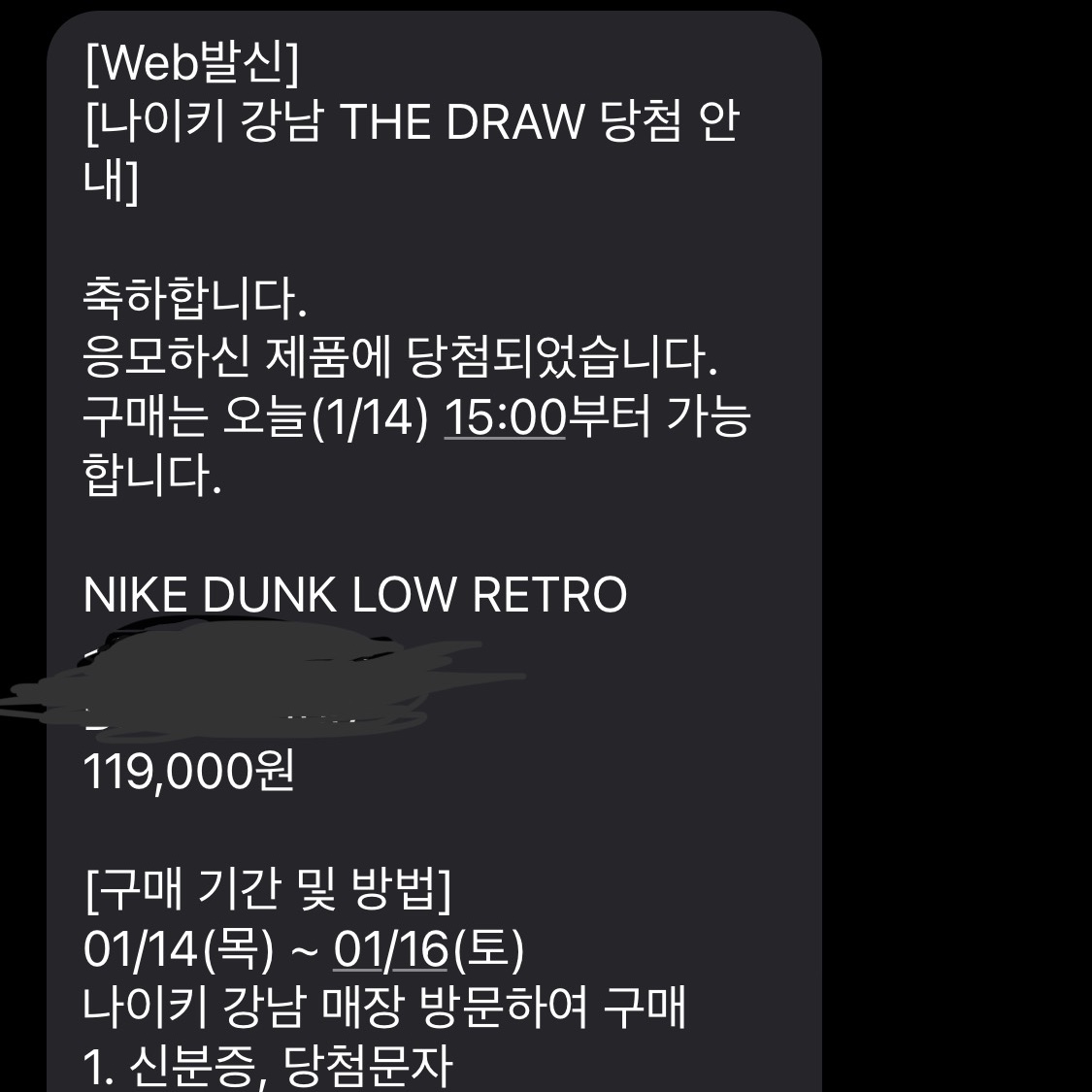 Nike Dunk Low Retro Black 착용 스타일