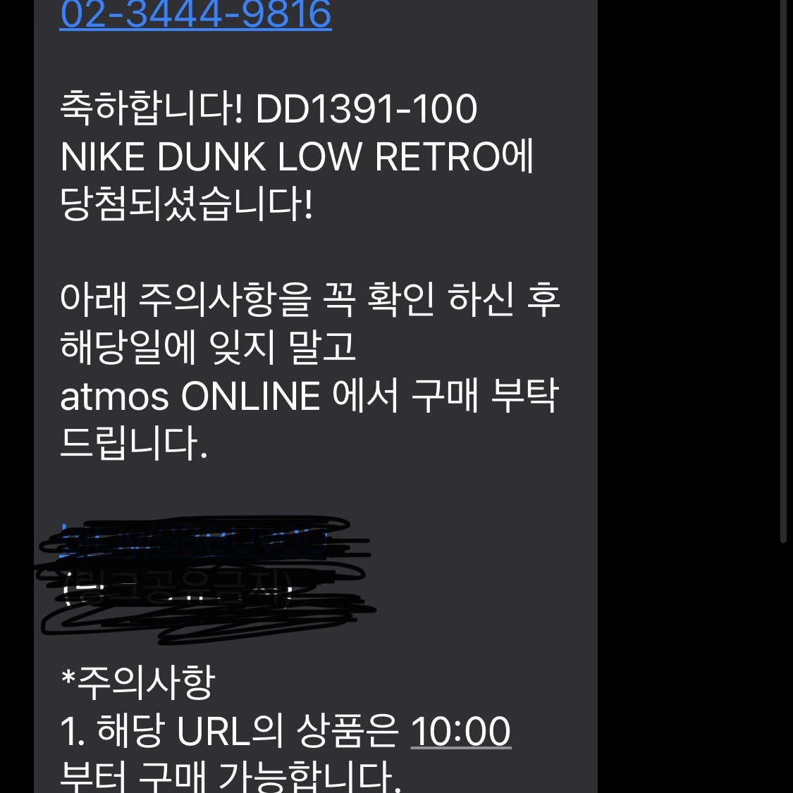 Nike Dunk Low Retro Black 착용 스타일