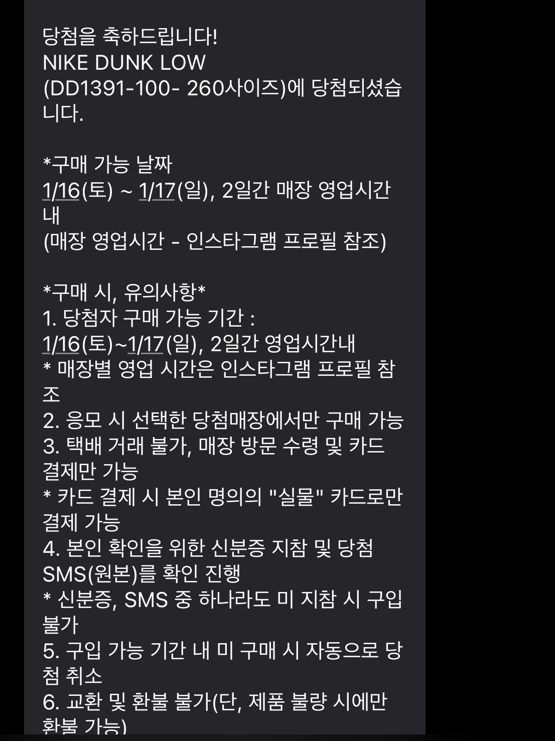 Nike Dunk Low Retro Black 착용 스타일