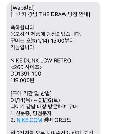 Nike Dunk Low Retro Black 착용 스타일 - 2