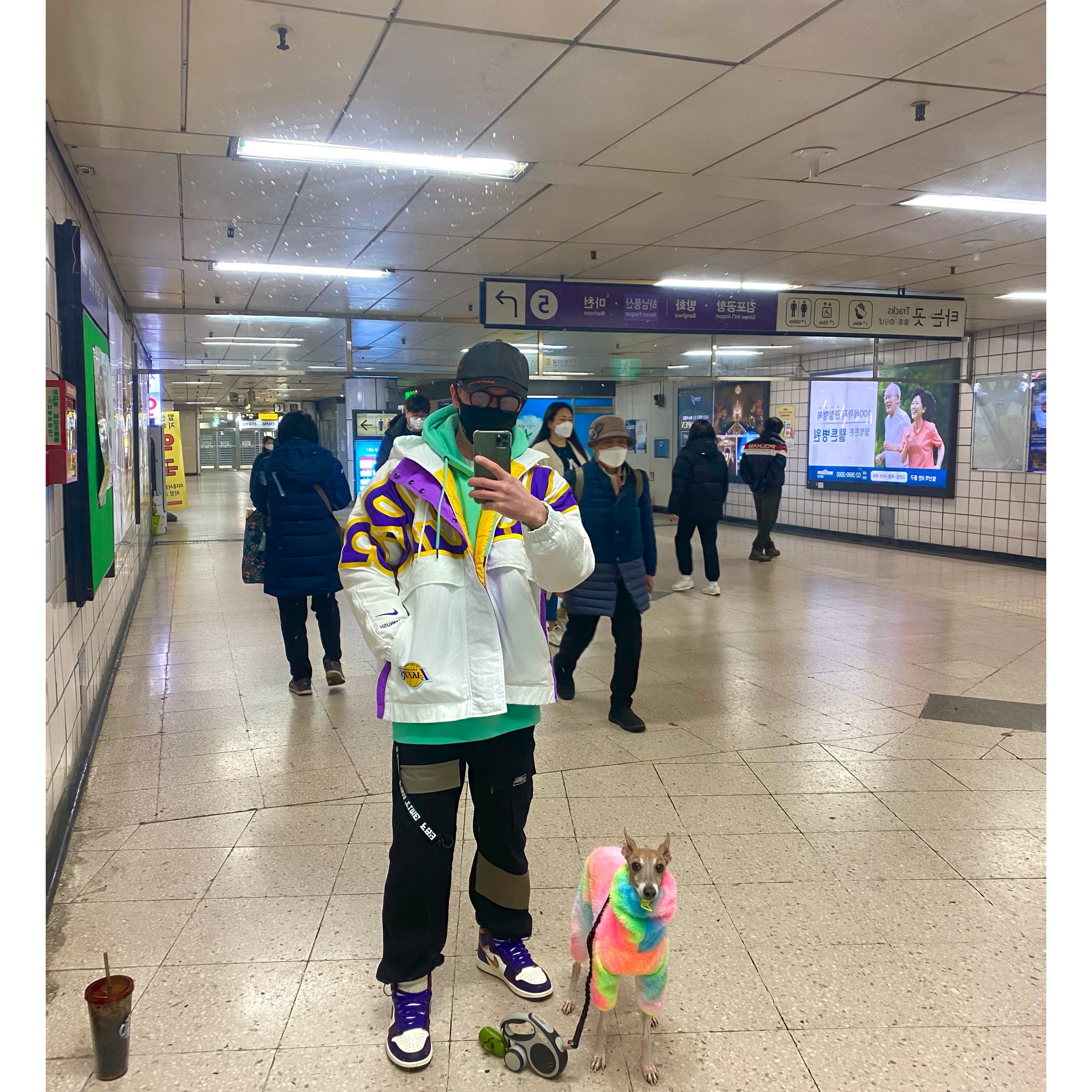 ์์
์ด๋ฏธ์ง