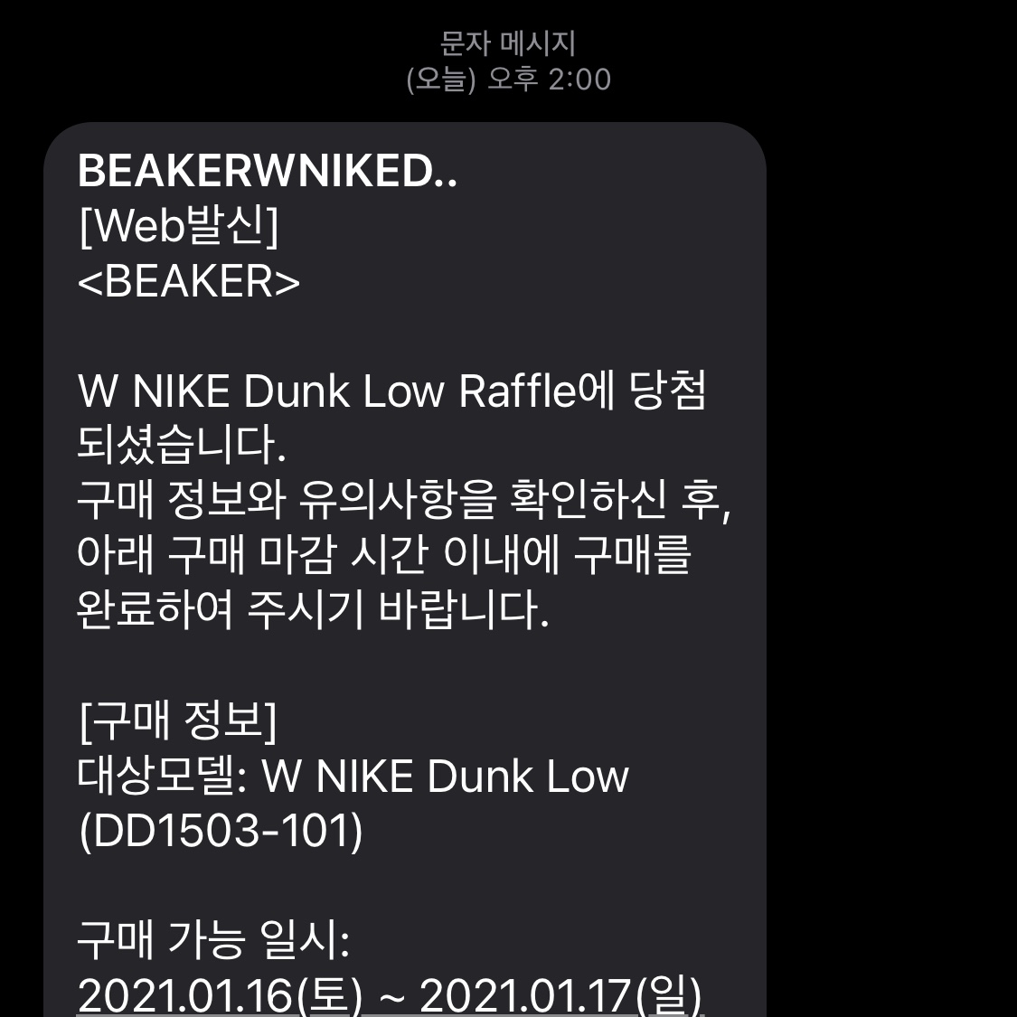 Nike Dunk Low Retro Black, (W) Nike Dunk Low Black 착용 스타일 - 3