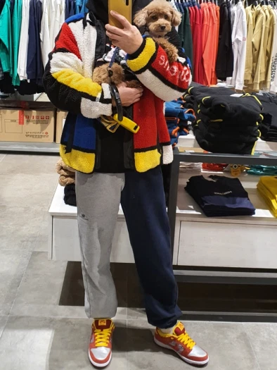 스타일 카드