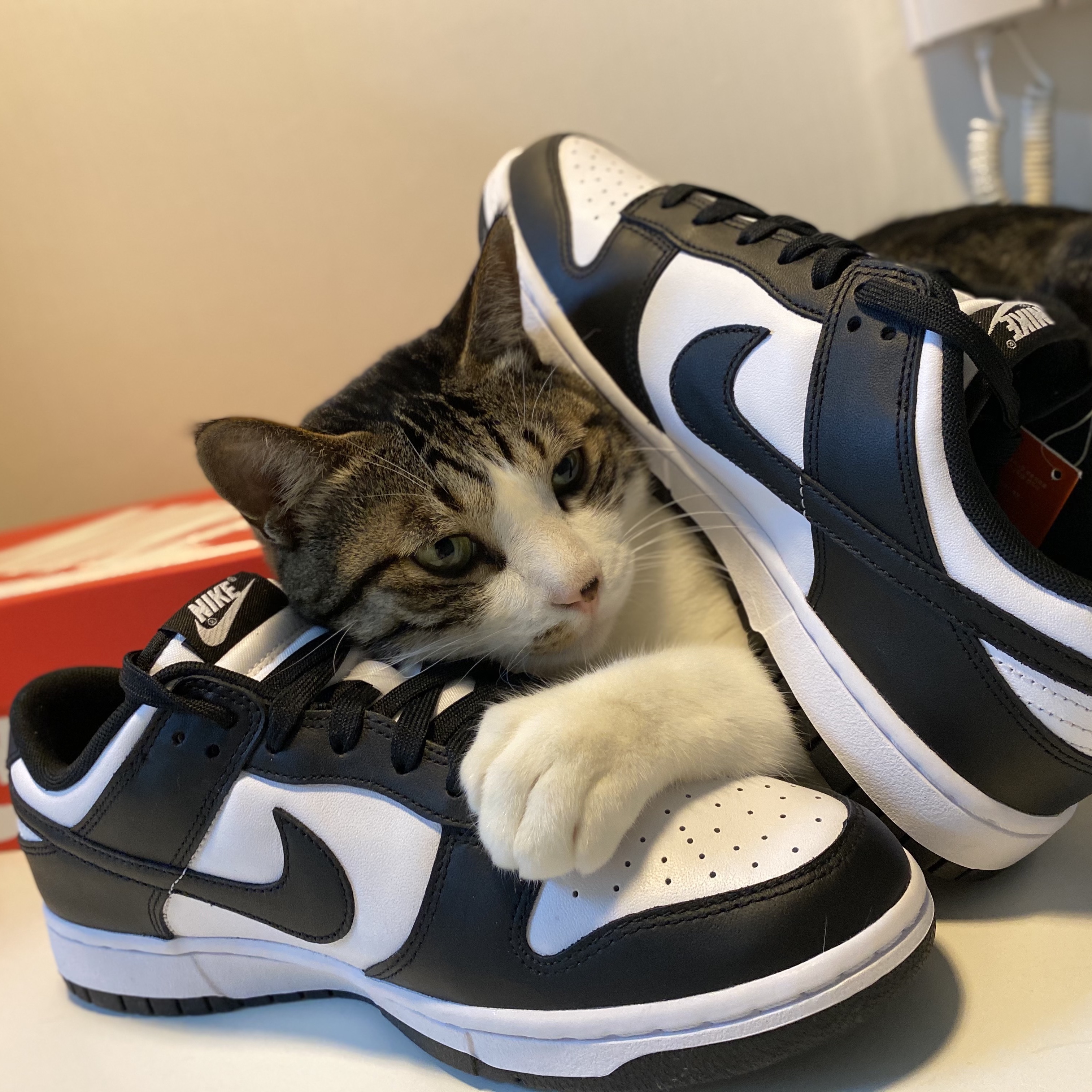 Nike Dunk Low Retro Black 착용 스타일 - 3