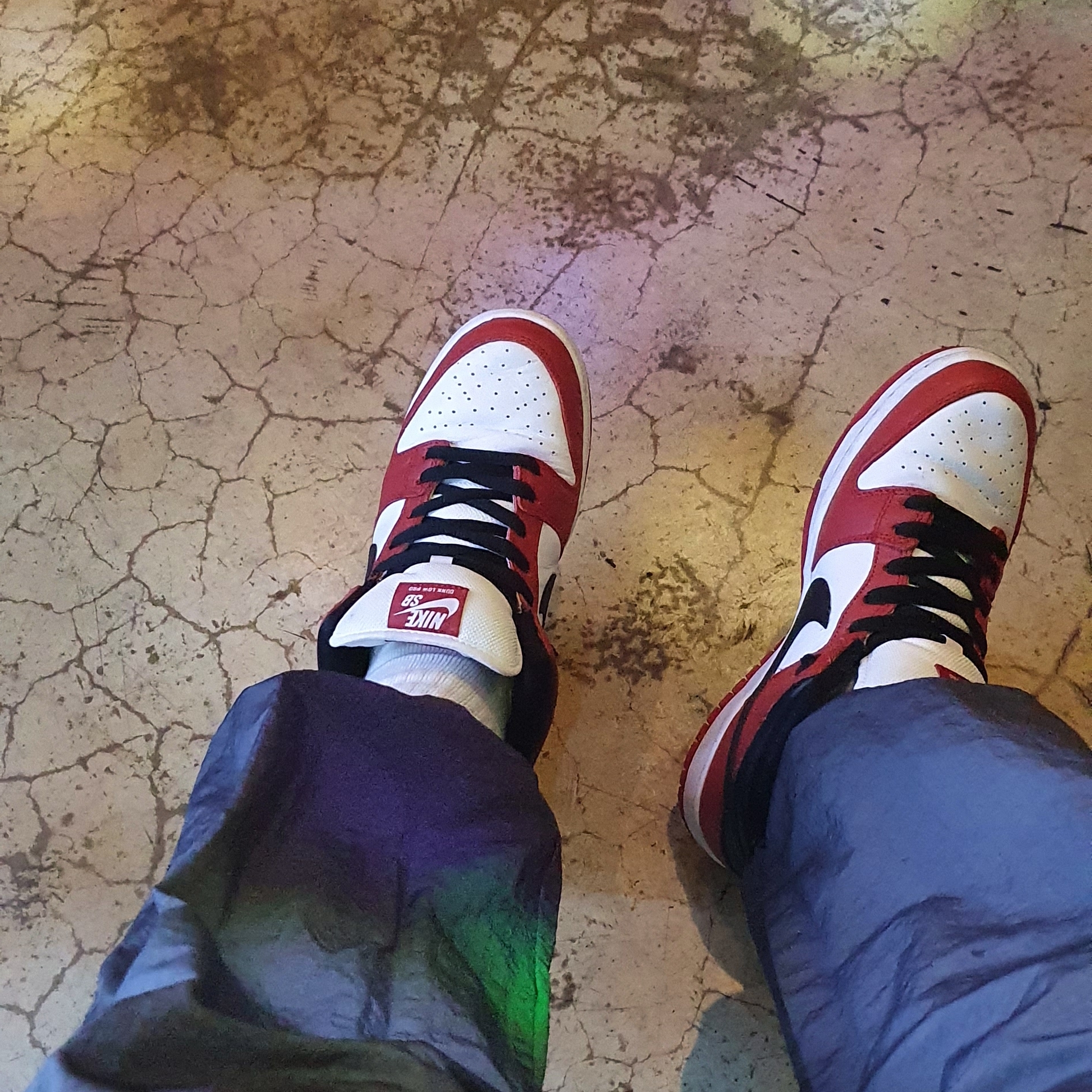 Nike SB Dunk Low Pro Chicago 착용 스타일