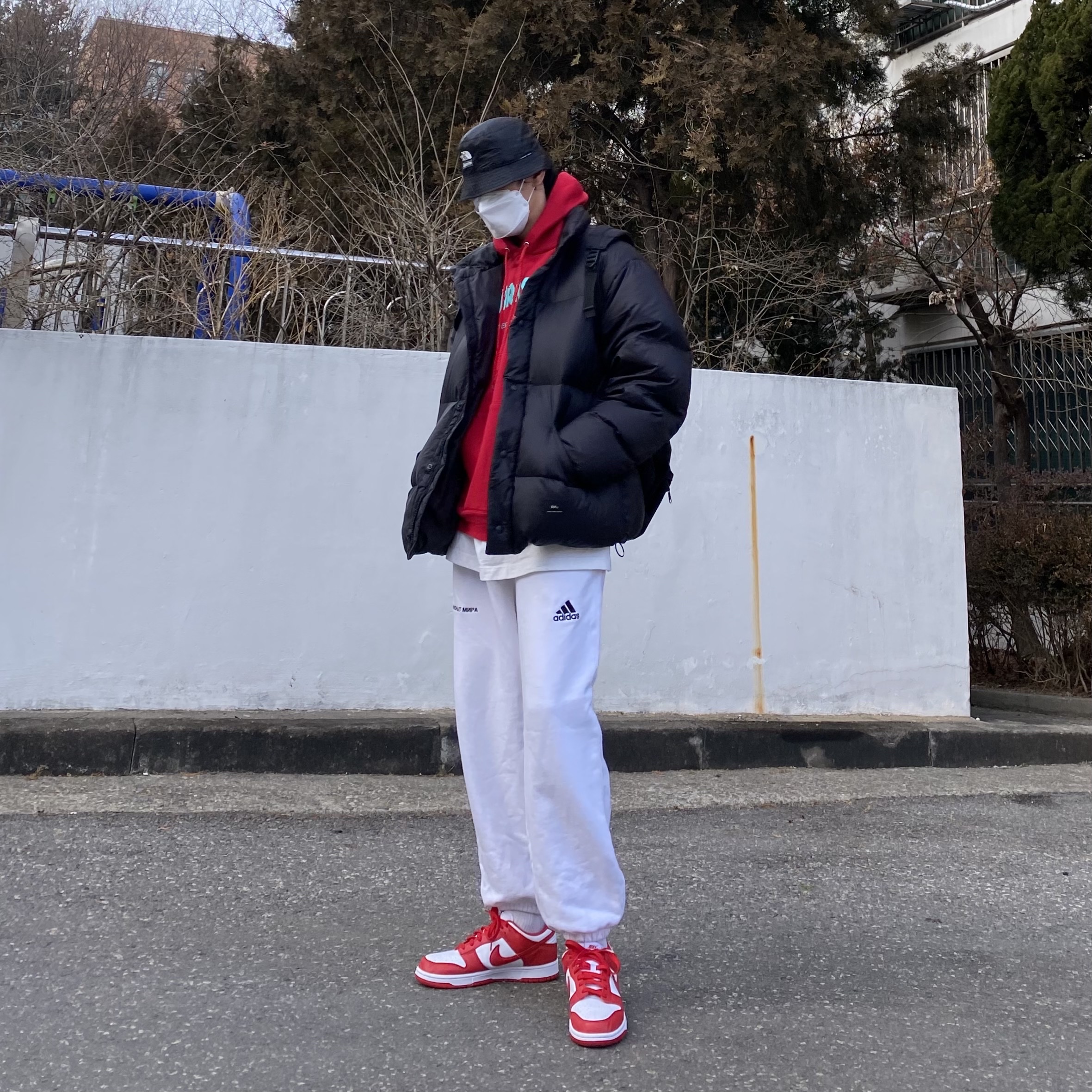 Nike Dunk Low SP University Red 2020, Supreme x The North Face Snakeskin Packable Reversible Crusher Black - 18SS 착용 스타일