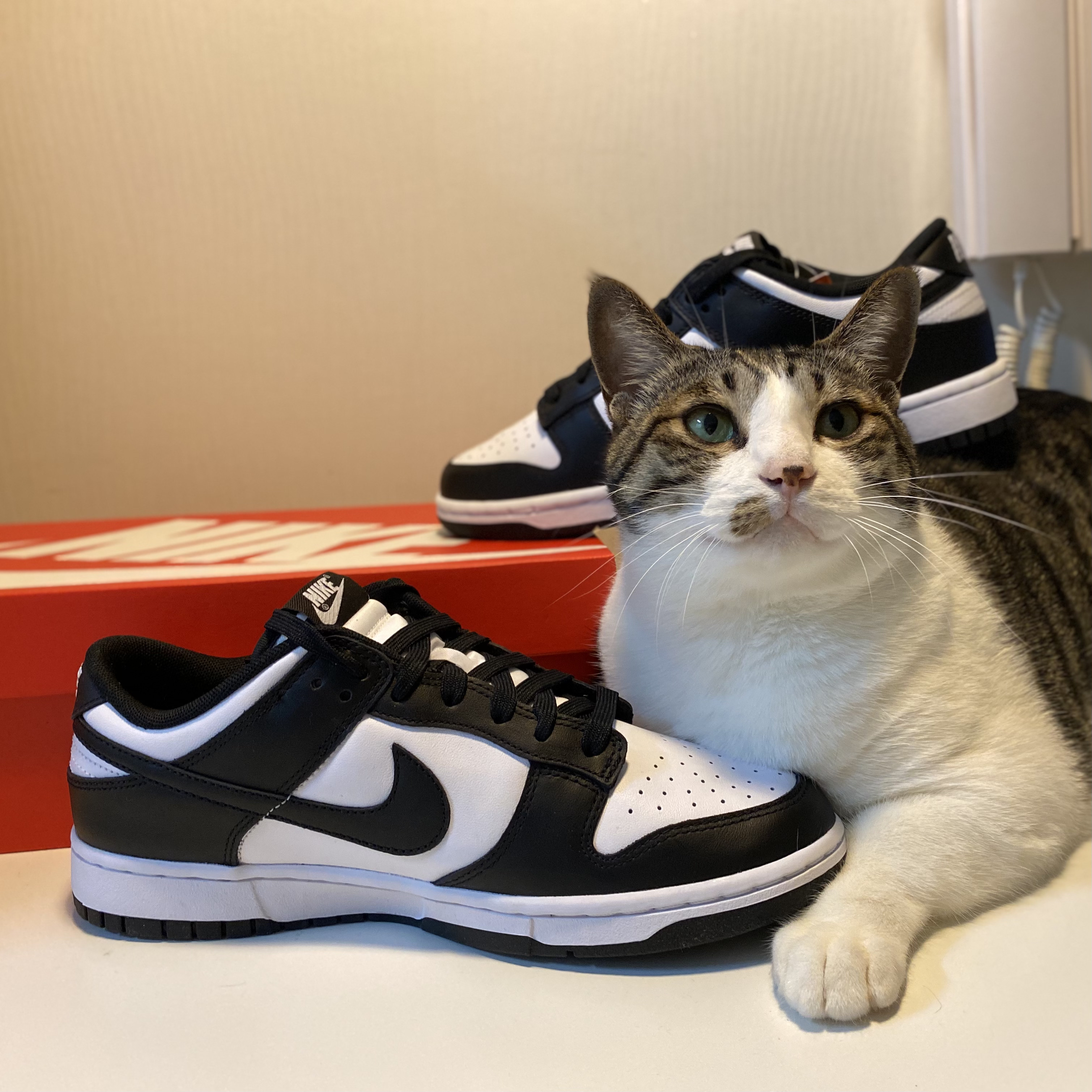 Nike Dunk Low Retro Black 착용 스타일 - 1