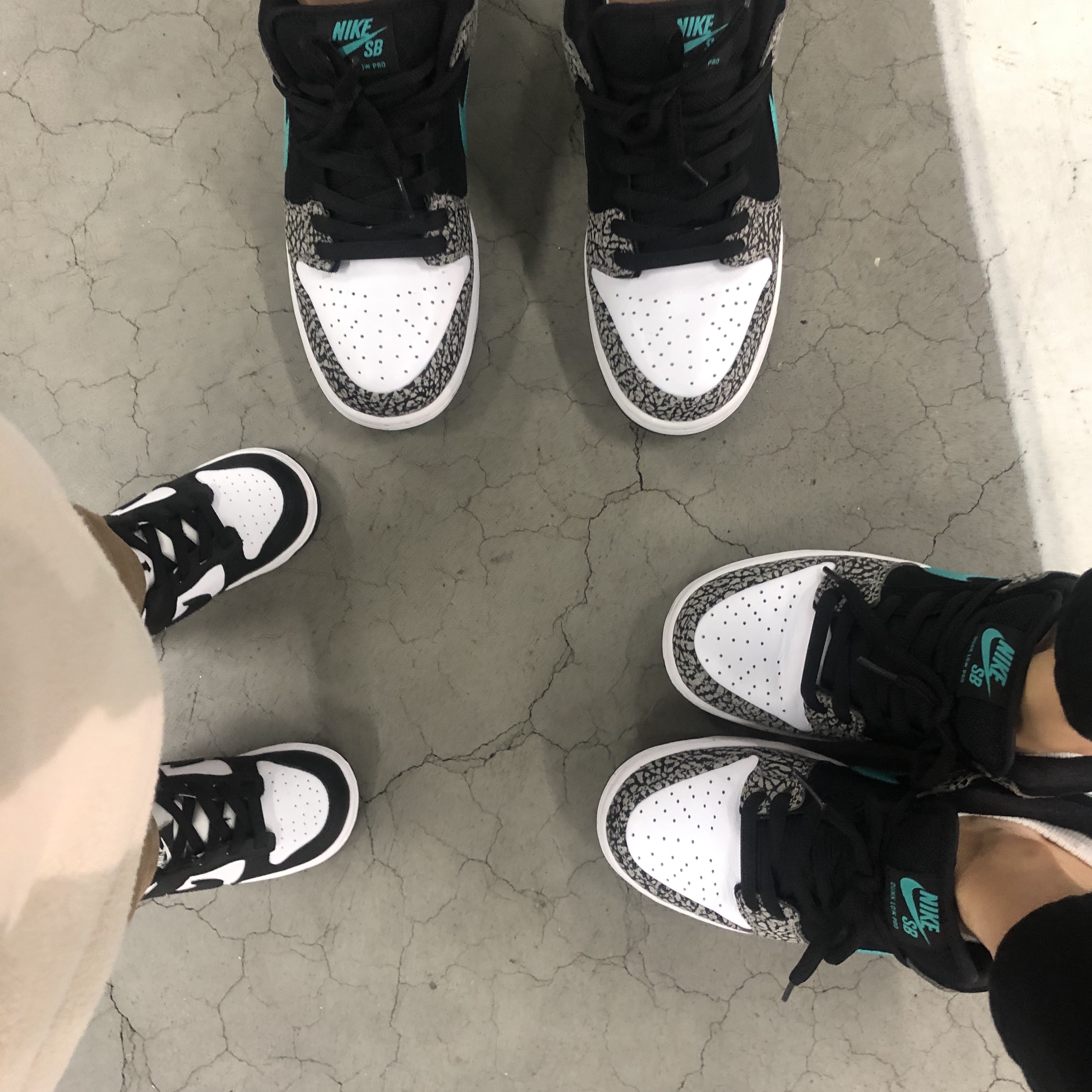 Nike SB Dunk Low Pro Clear Jade, (TD) Nike Dunk Low Black 착용 스타일