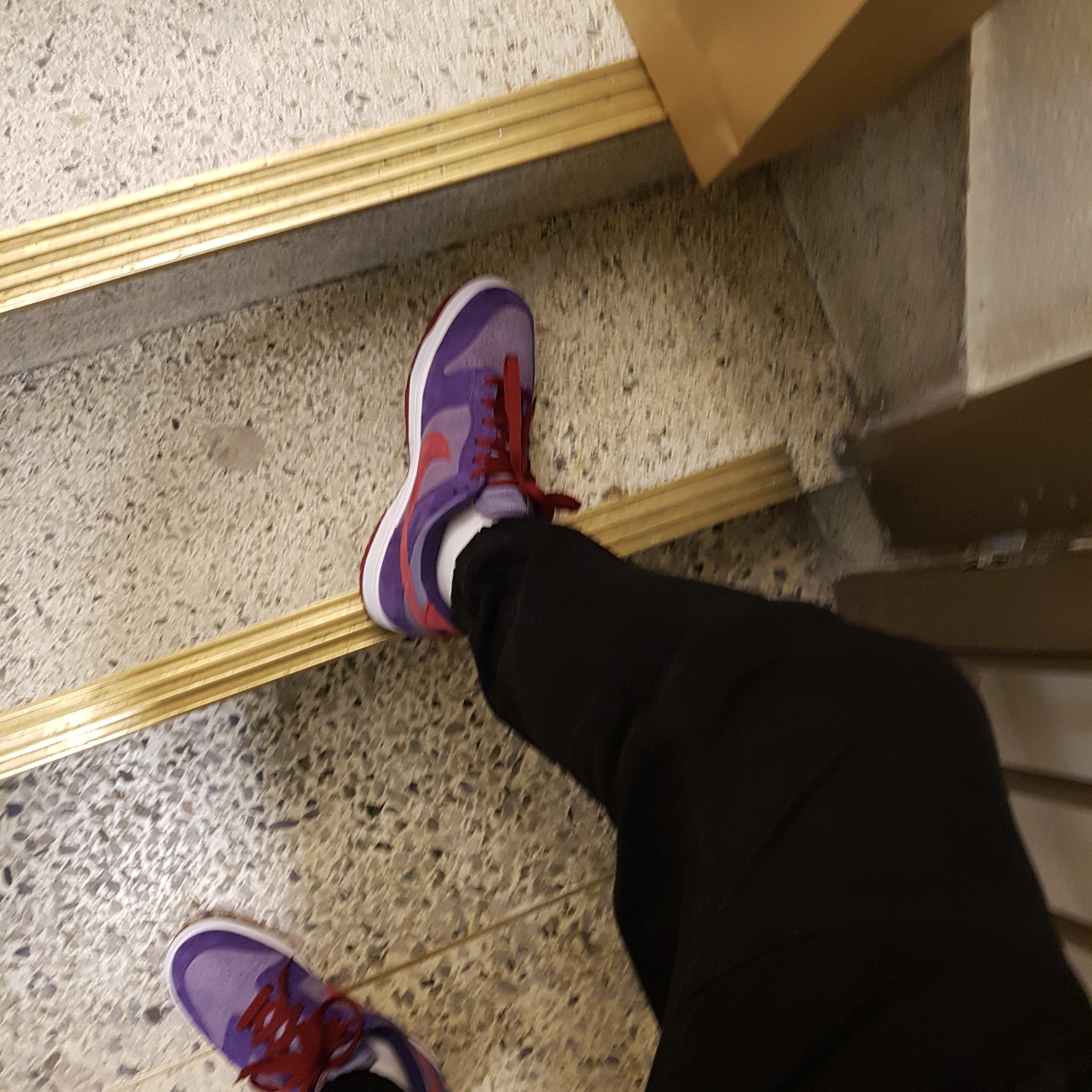 Nike Dunk Low SP Plum 2020 착용 스타일