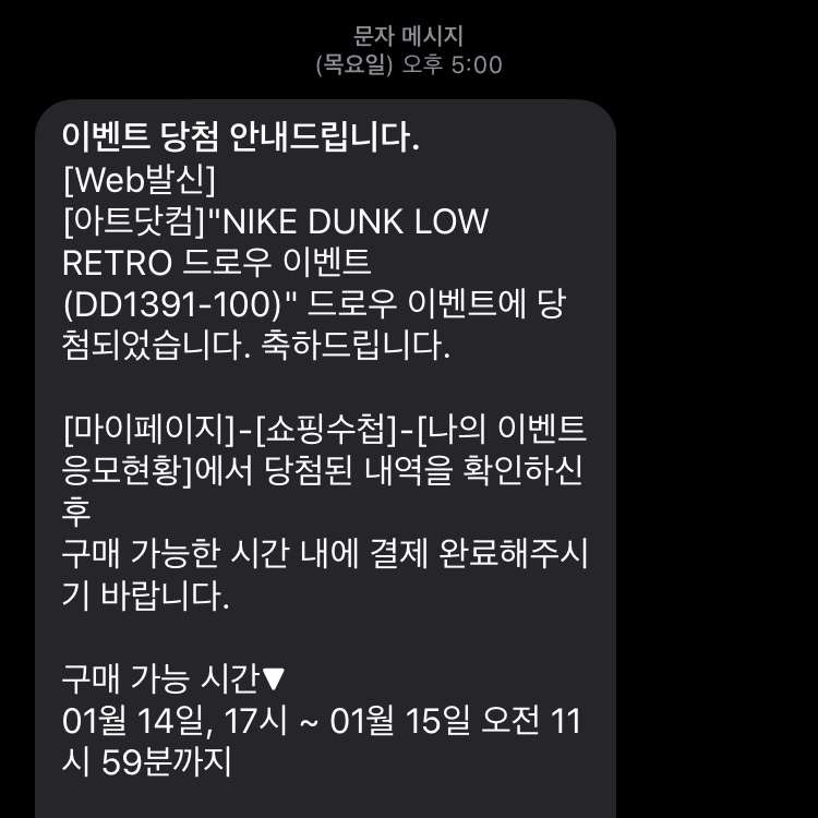 Nike Dunk Low Retro Black 착용 스타일