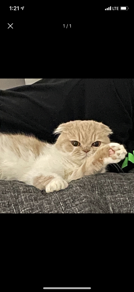 관심 유저 프로필 이미지