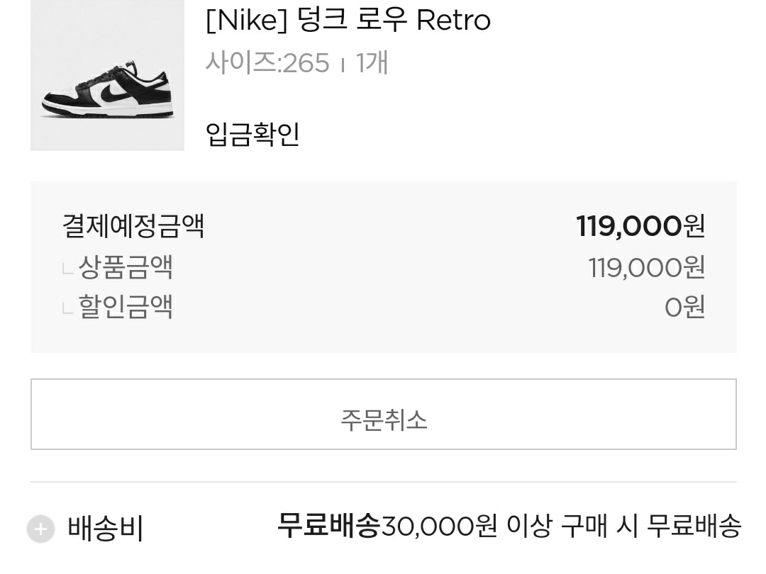 Nike Dunk Low Retro Black 착용 스타일