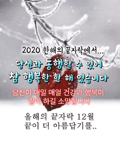 관심 유저 프로필 이미지