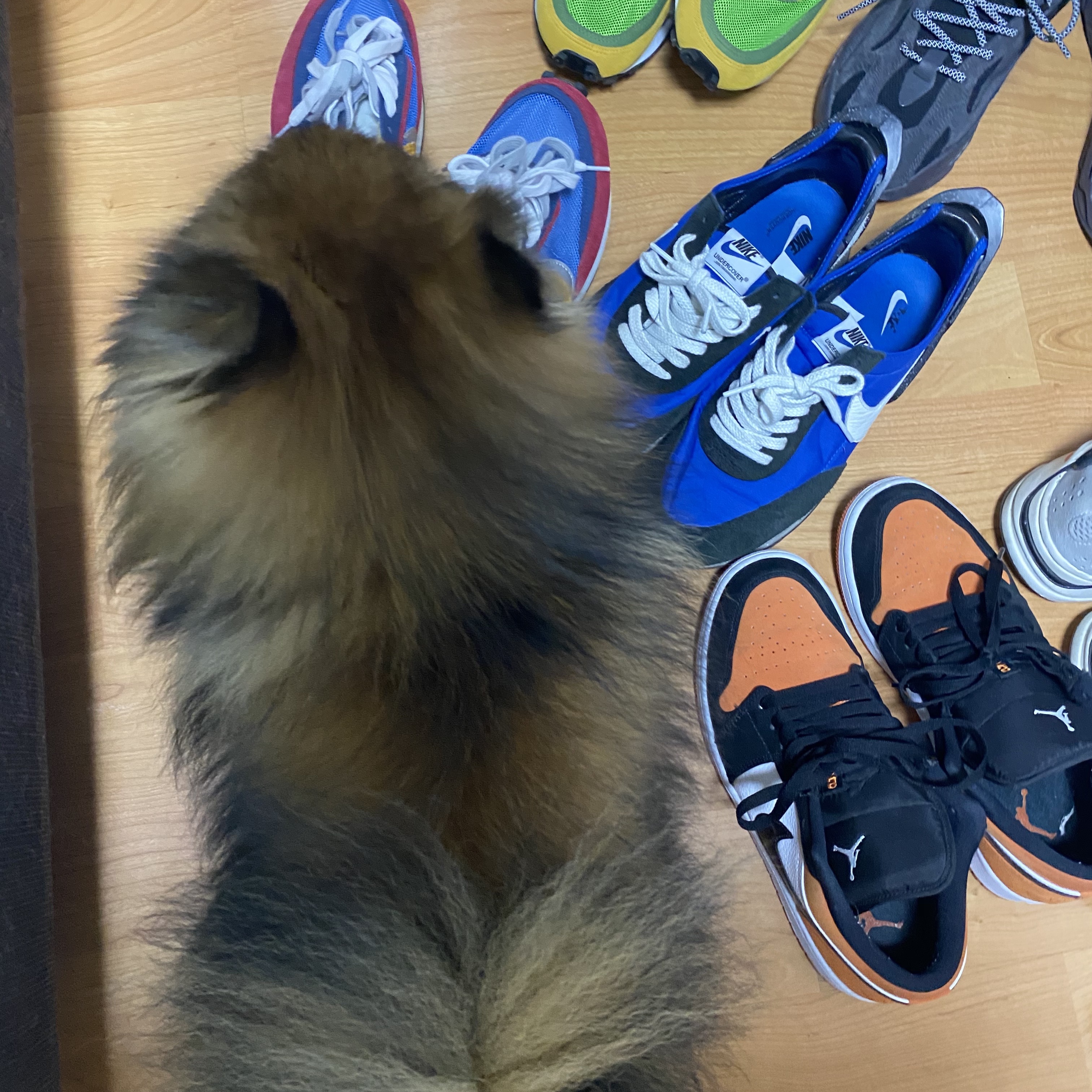 Jordan 1 Low Shattered Backboard, Adidas Yeezy Boost 700 V2 Static 2018 착용 스타일 - 4
