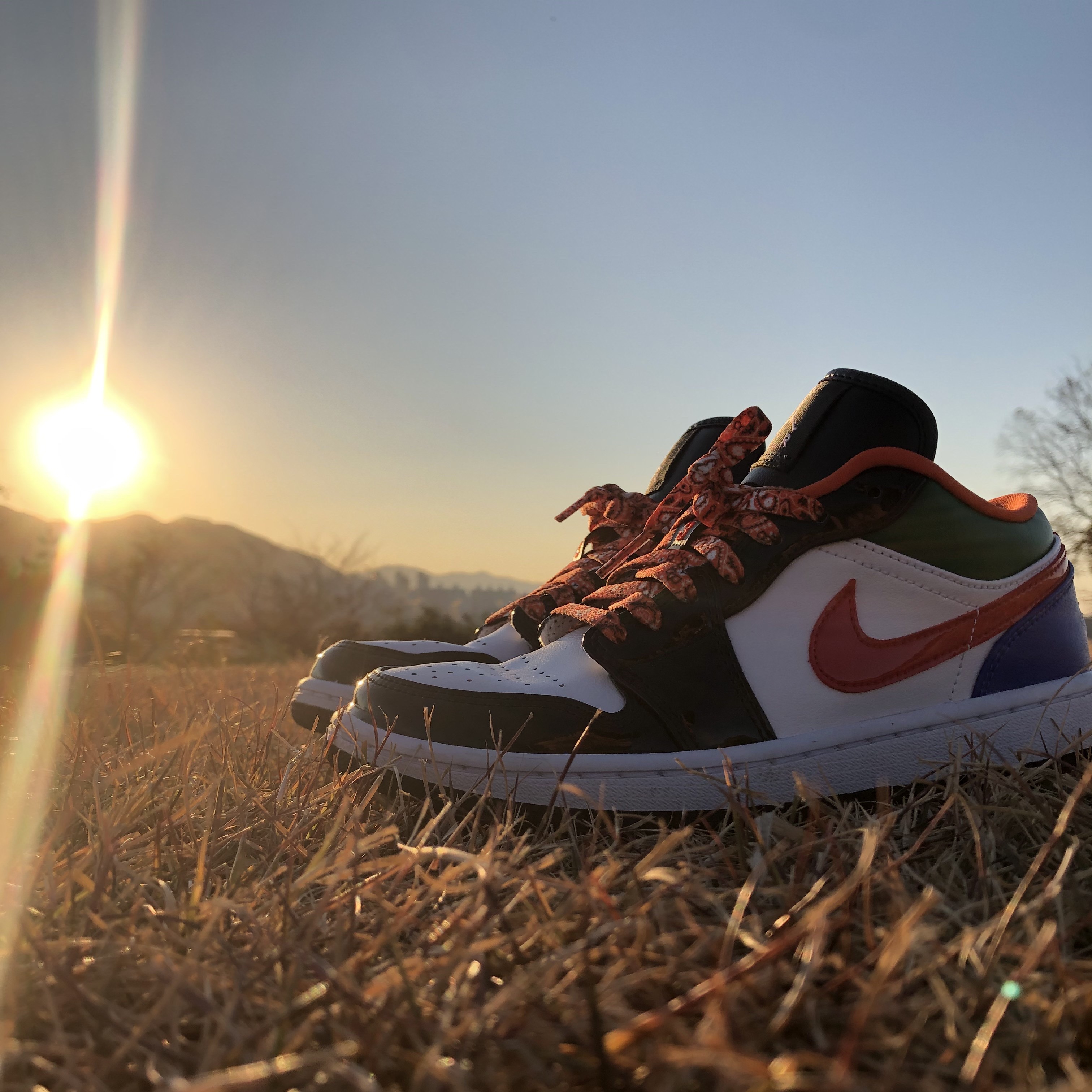 (W) Jordan 1 Low SE Multi-Color Black Toe 착용 스타일
