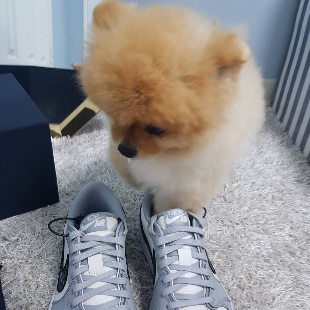 Jordan 1 x Dior Low OG 착용 스타일