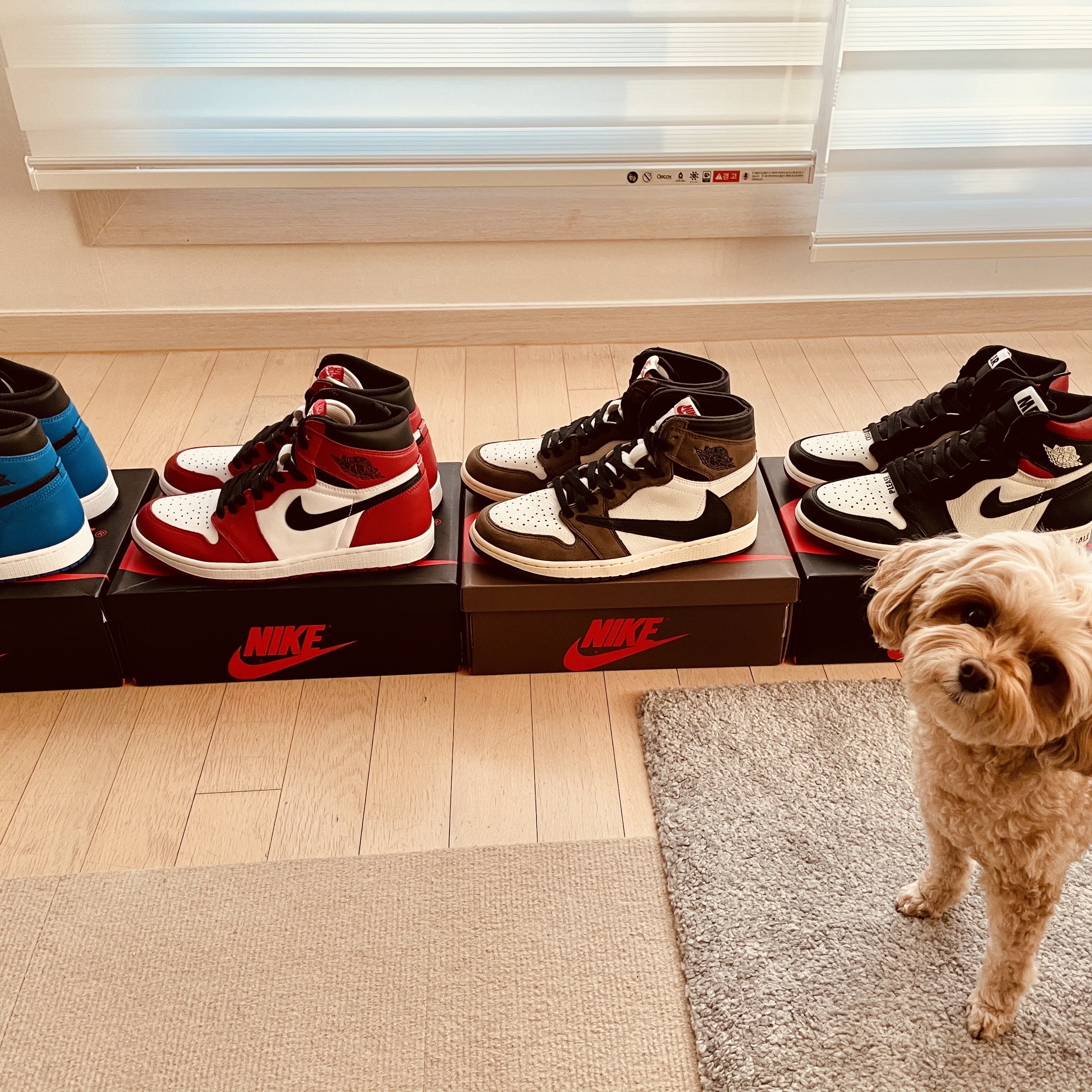 Jordan 1 Retro Royal 2017, Jordan 1 Retro High OG Chicago 2015 착용 스타일