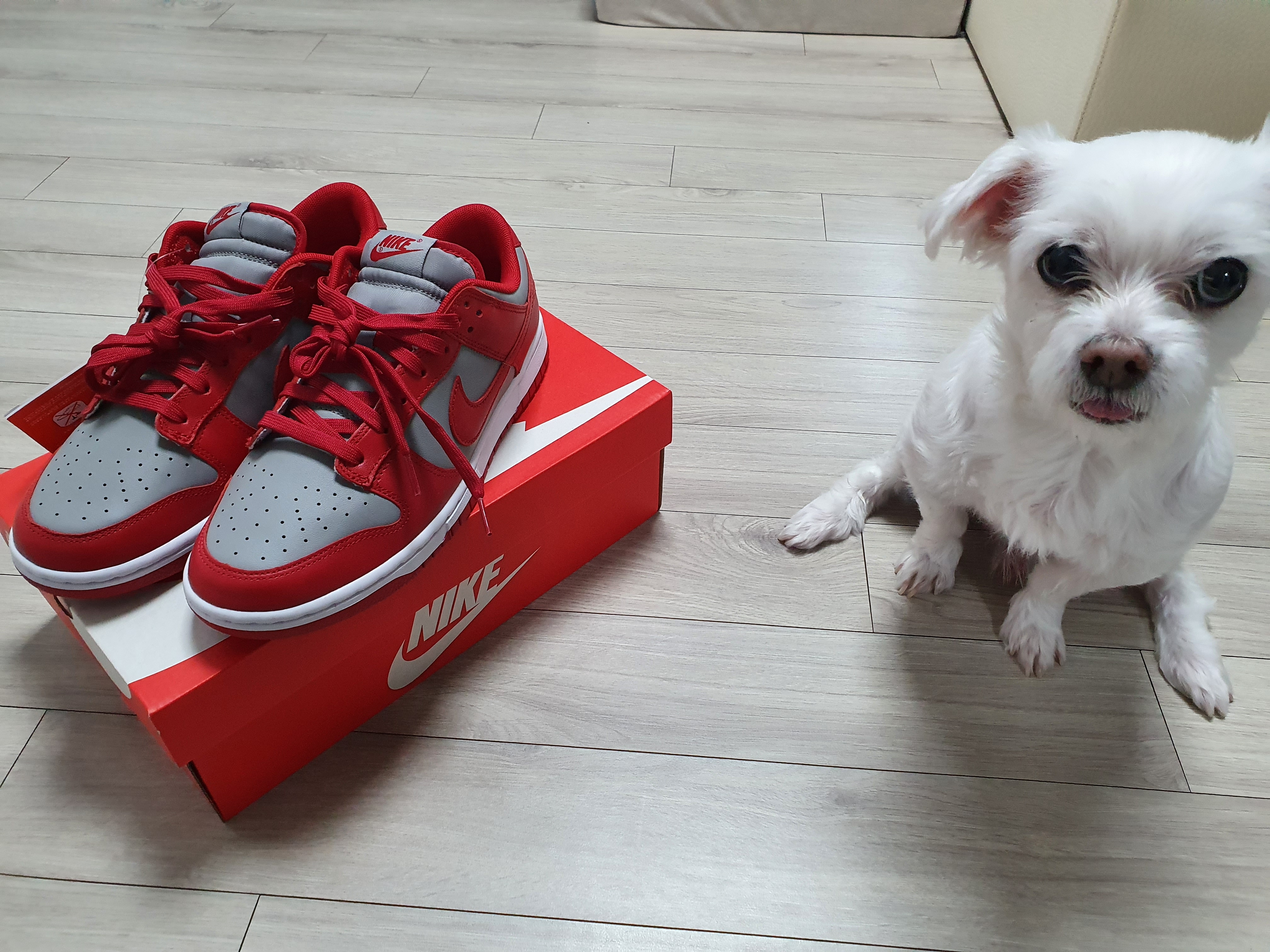 Nike Dunk Low Retro Medium Grey 착용 스타일