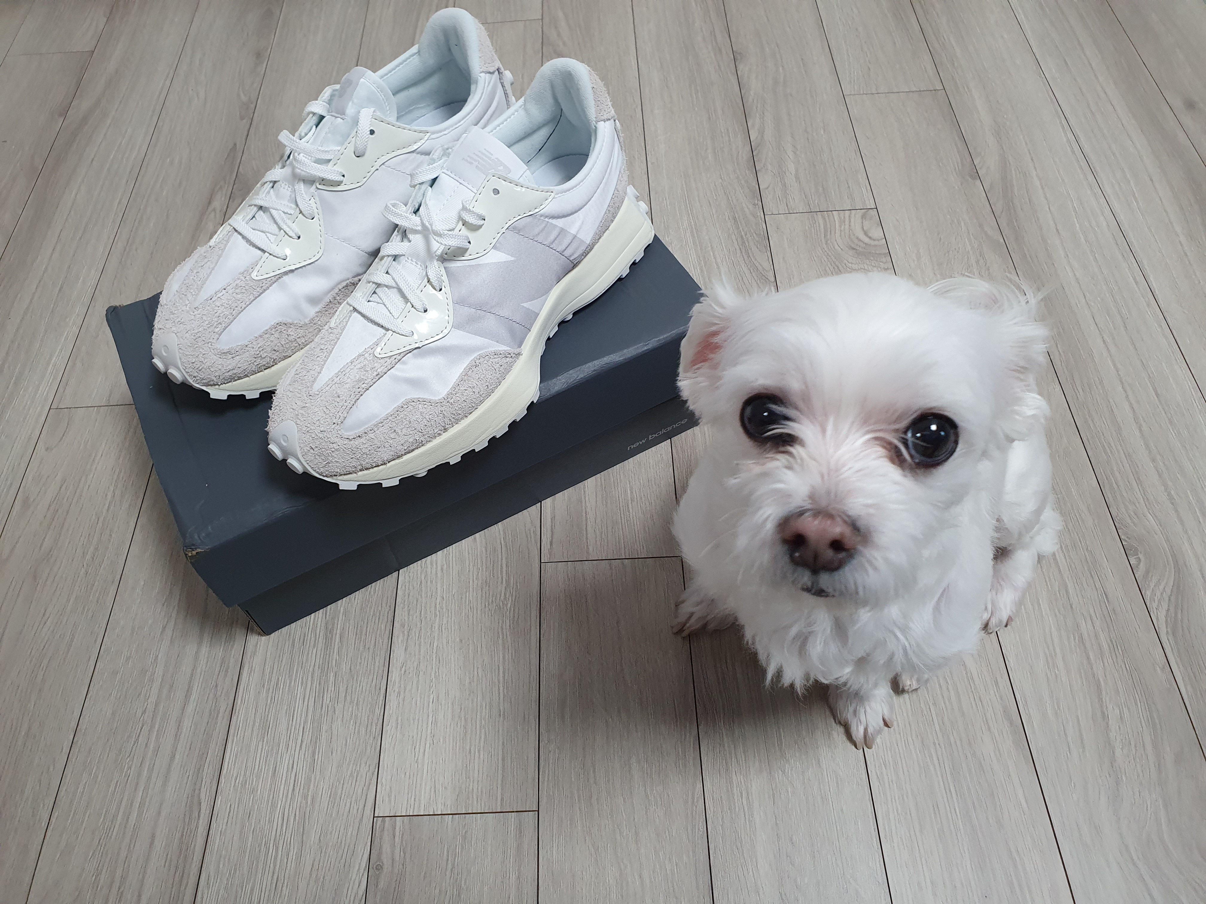 (W) New Balance 327 White Moonbeam 착용 스타일