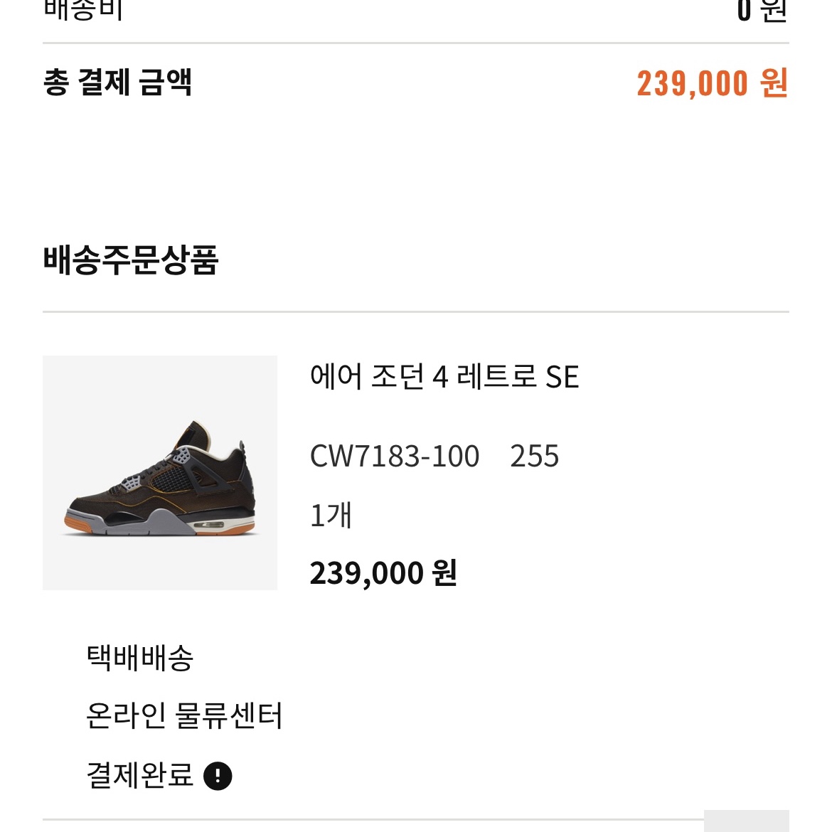 (W) Jordan 4 Retro Starfish 착용 스타일