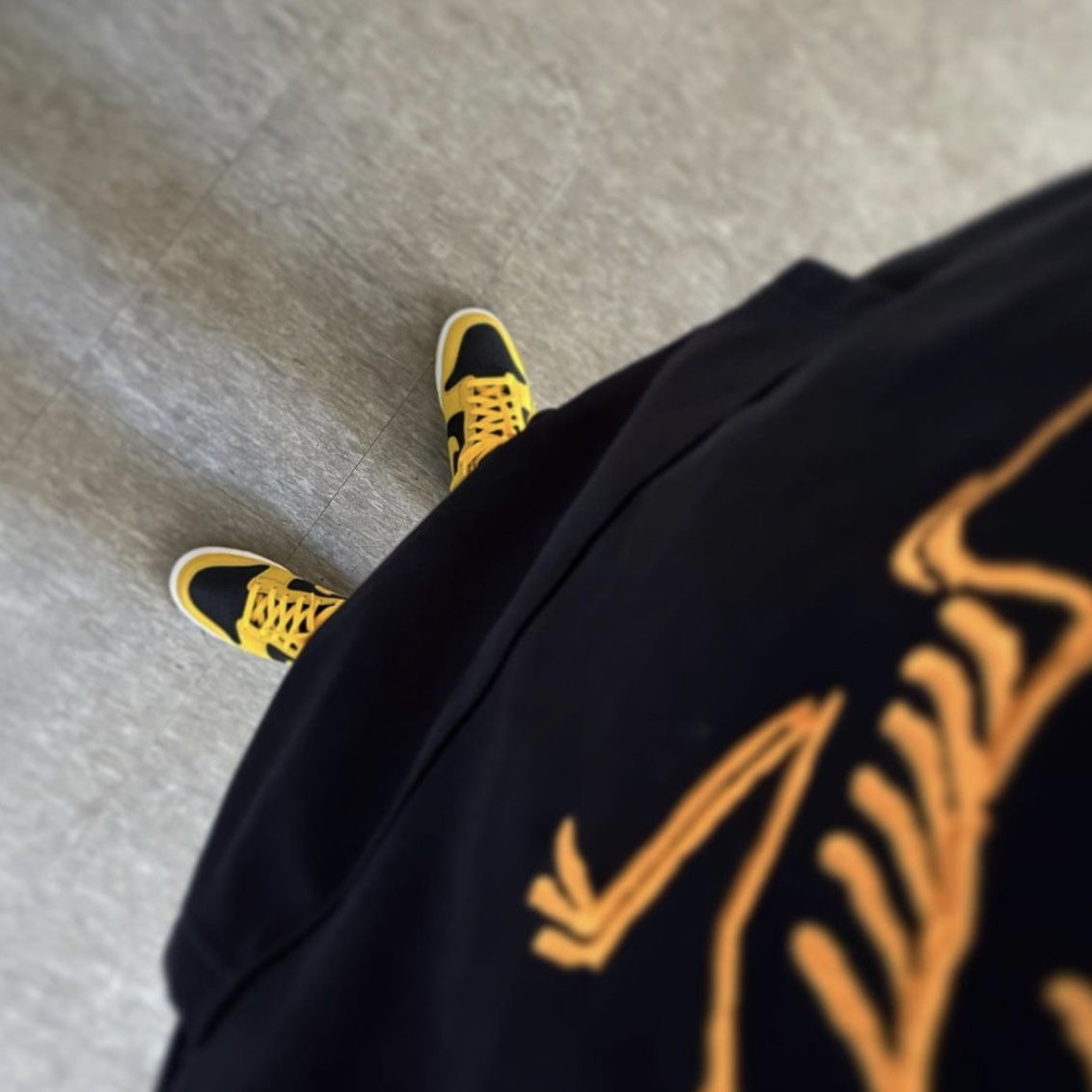 Nike Dunk High SP Varsity Maize, Palace x Arc'teryx Hood Black - 20FW 착용 스타일 - 1