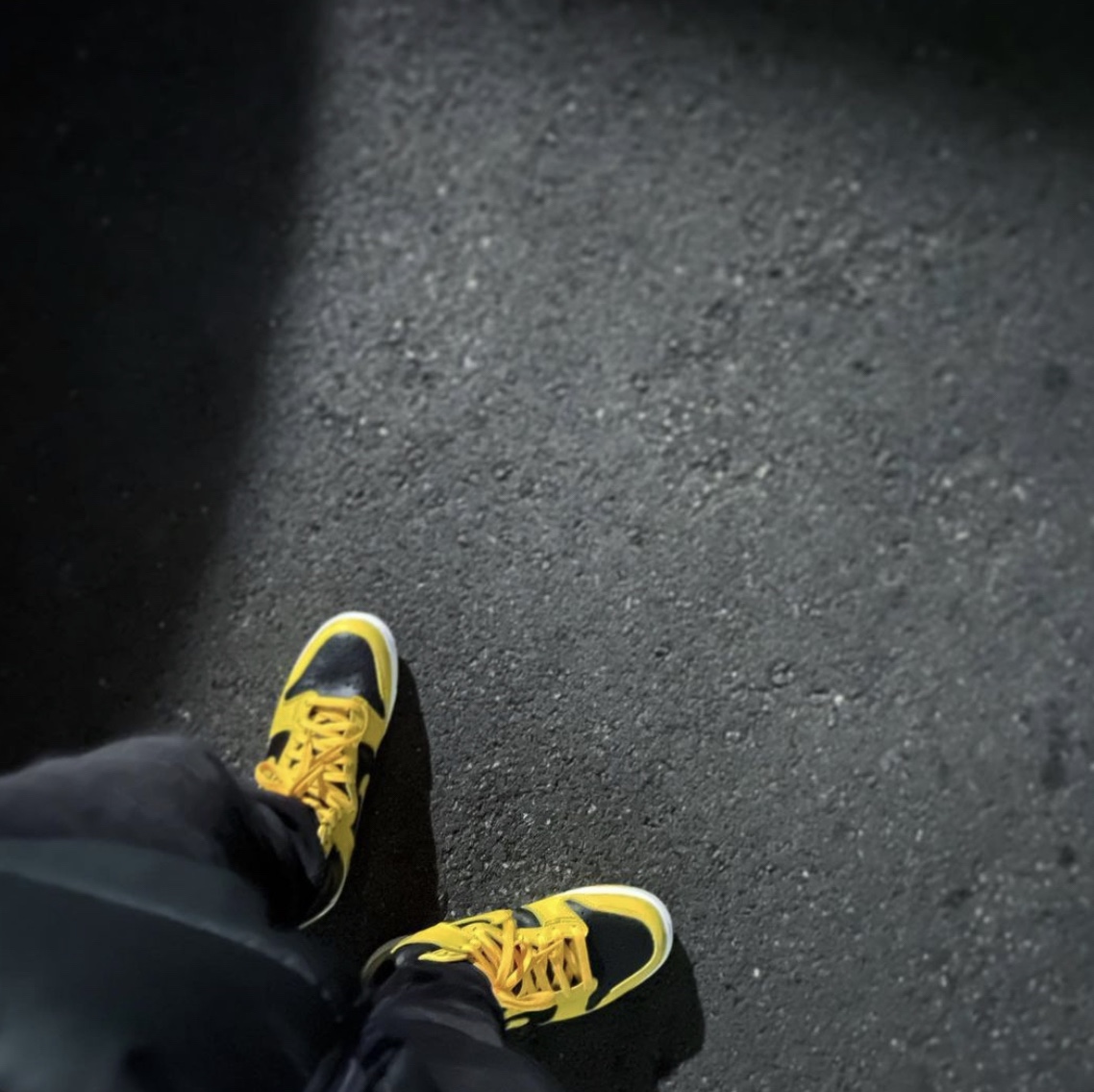 Nike Dunk High SP Varsity Maize, Palace x Arc'teryx Hood Black - 20FW 착용 스타일 - 2