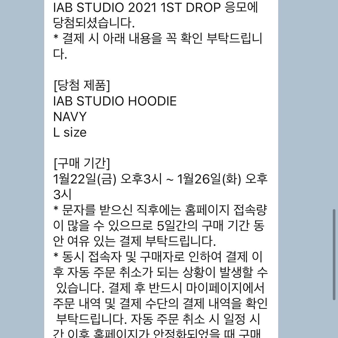 IAB Studio Hoodie Navy - 21SS 착용 스타일