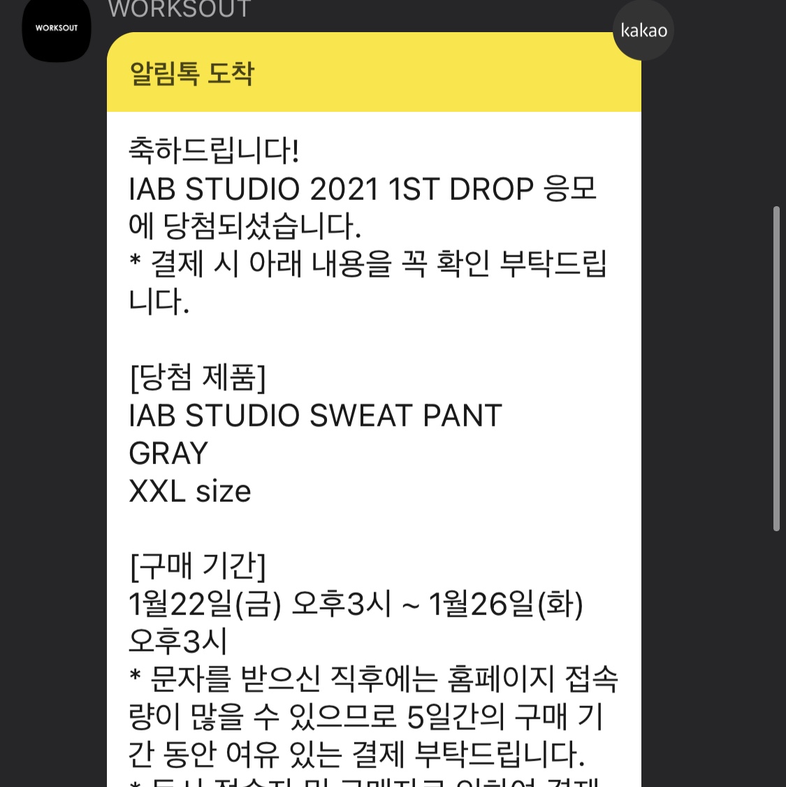 IAB Studio Sweatpants Gray - 21SS 착용 스타일