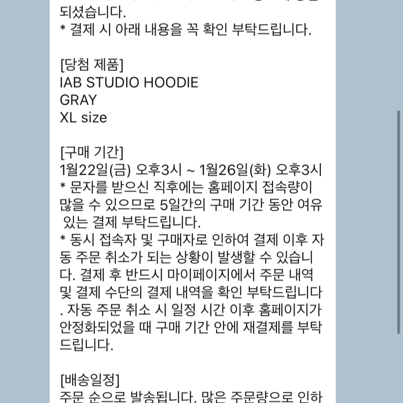 IAB Studio Hoodie Gray - 21SS 착용 스타일
