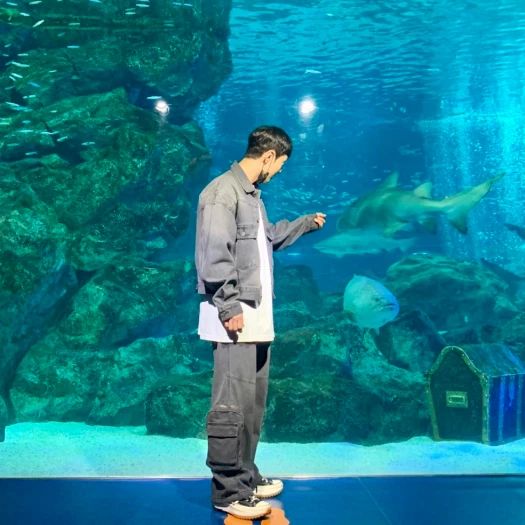 스타일 카드