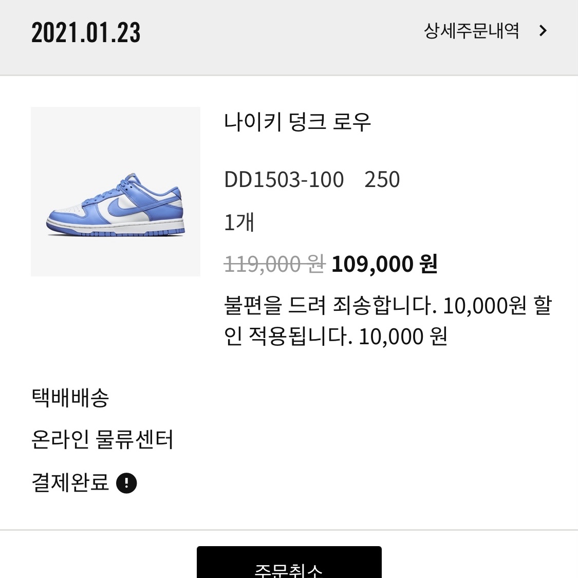 (W) Nike Dunk Low Coast 착용 스타일