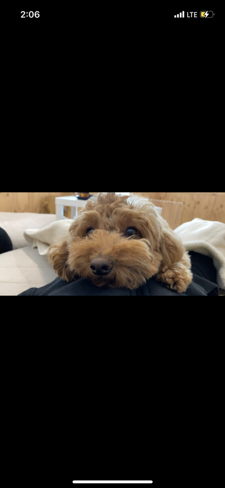 KREAM 프로필 이미지