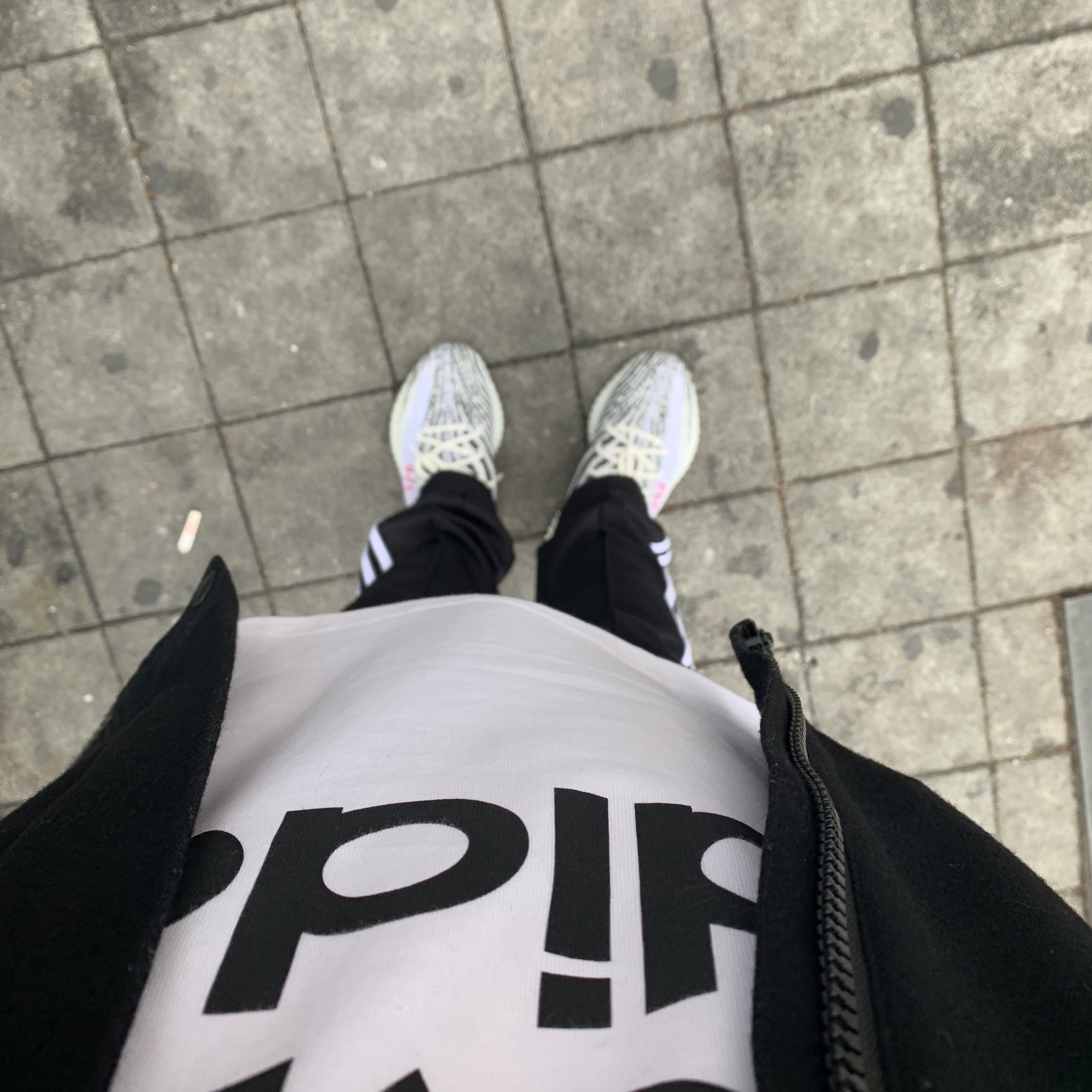Adidas Yeezy Boost 350 V2 Zebra 2017/2019/2020 착용 스타일