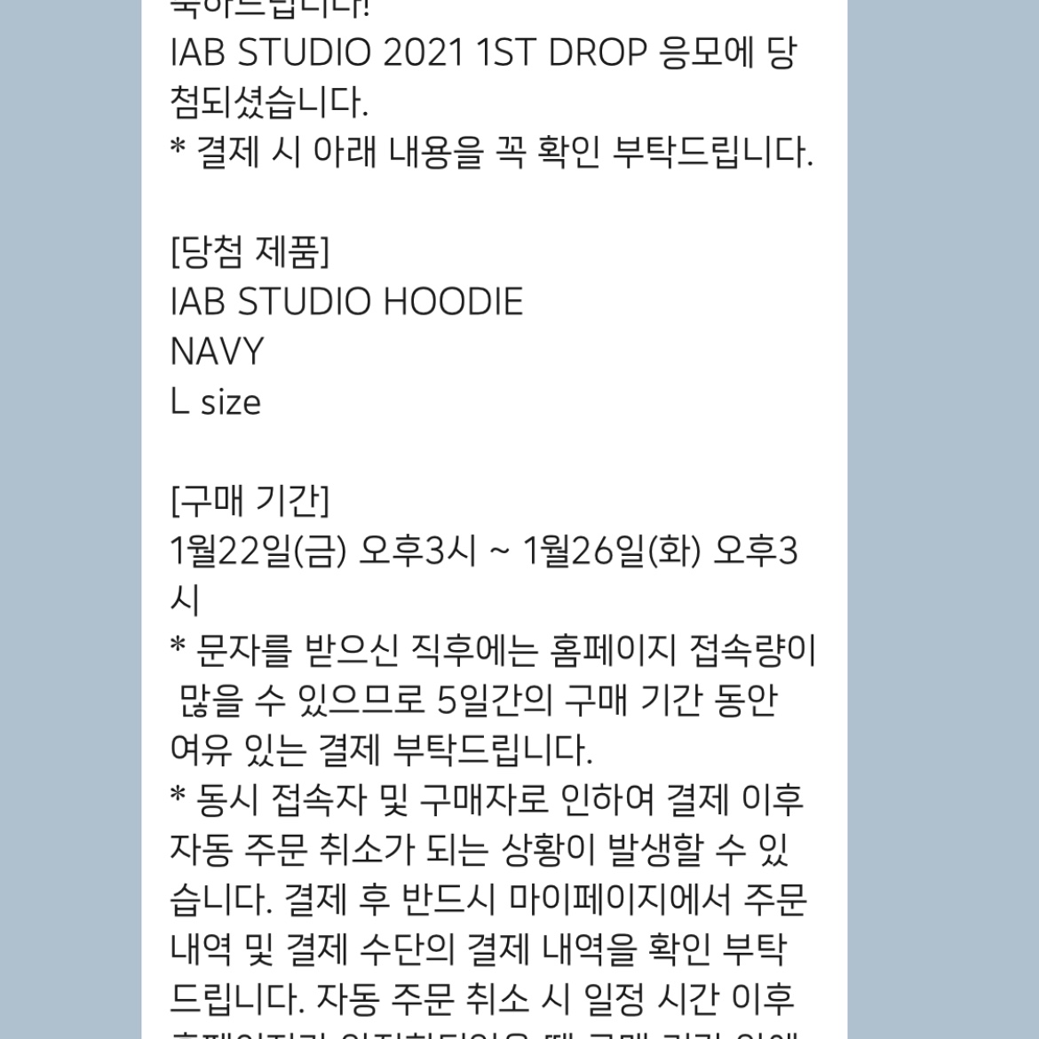 IAB Studio Hoodie Navy - 21SS 착용 스타일