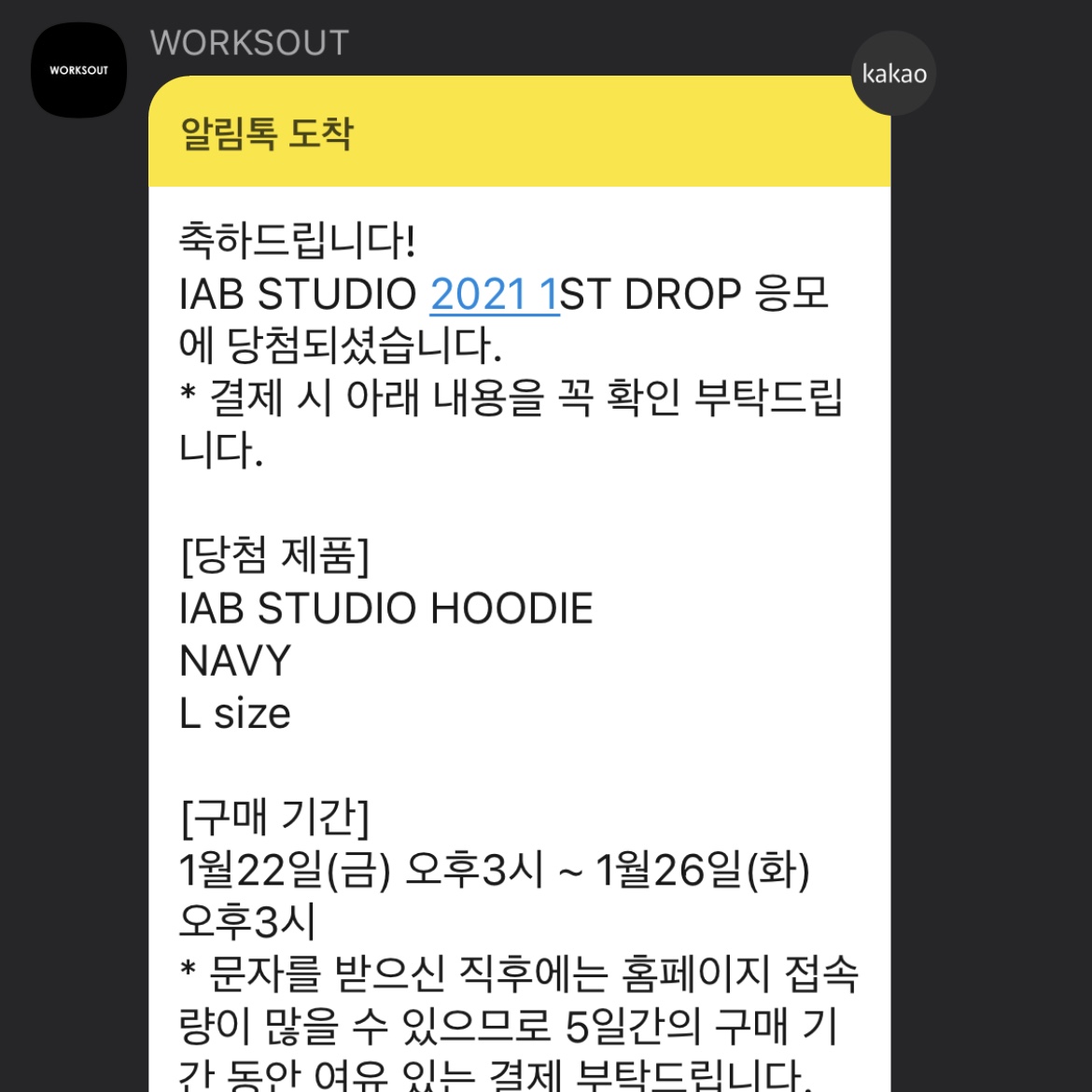 IAB Studio Hoodie Navy - 21SS 착용 스타일