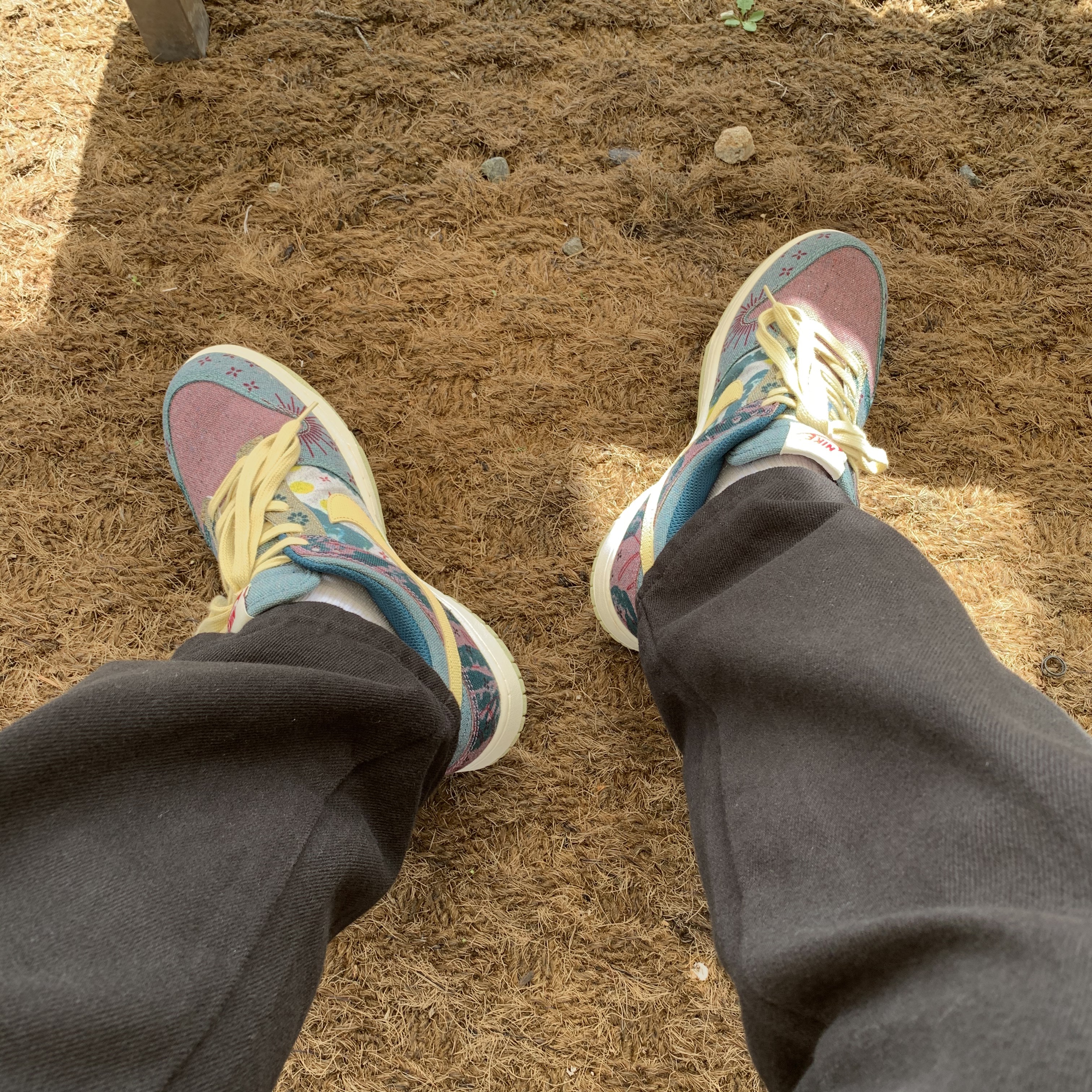 Nike Dunk Low SP Community Garden 착용 스타일