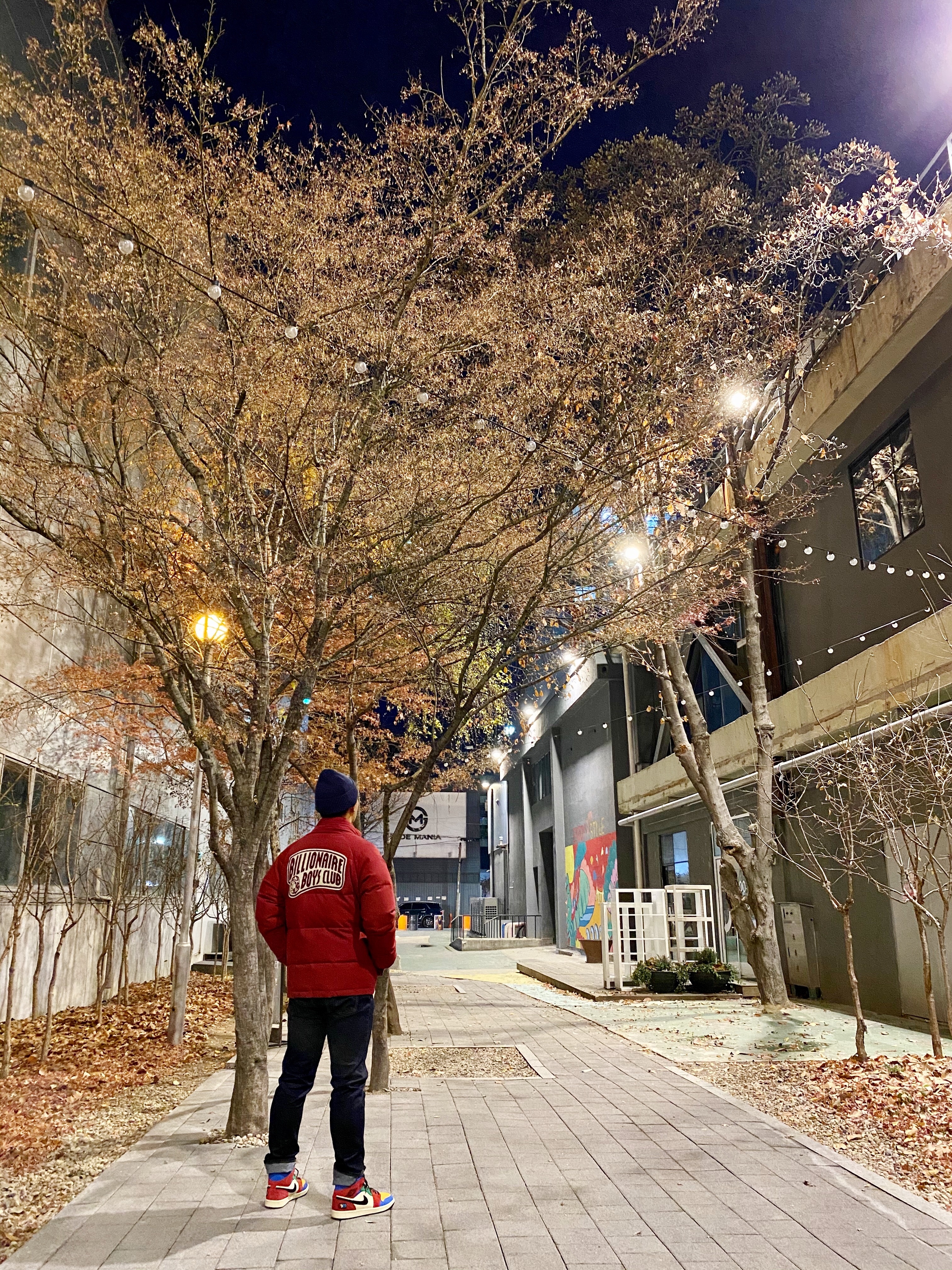 ์์
์ด๋ฏธ์ง