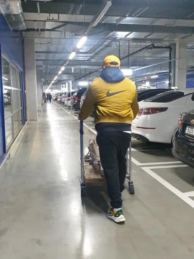 스타일 카드