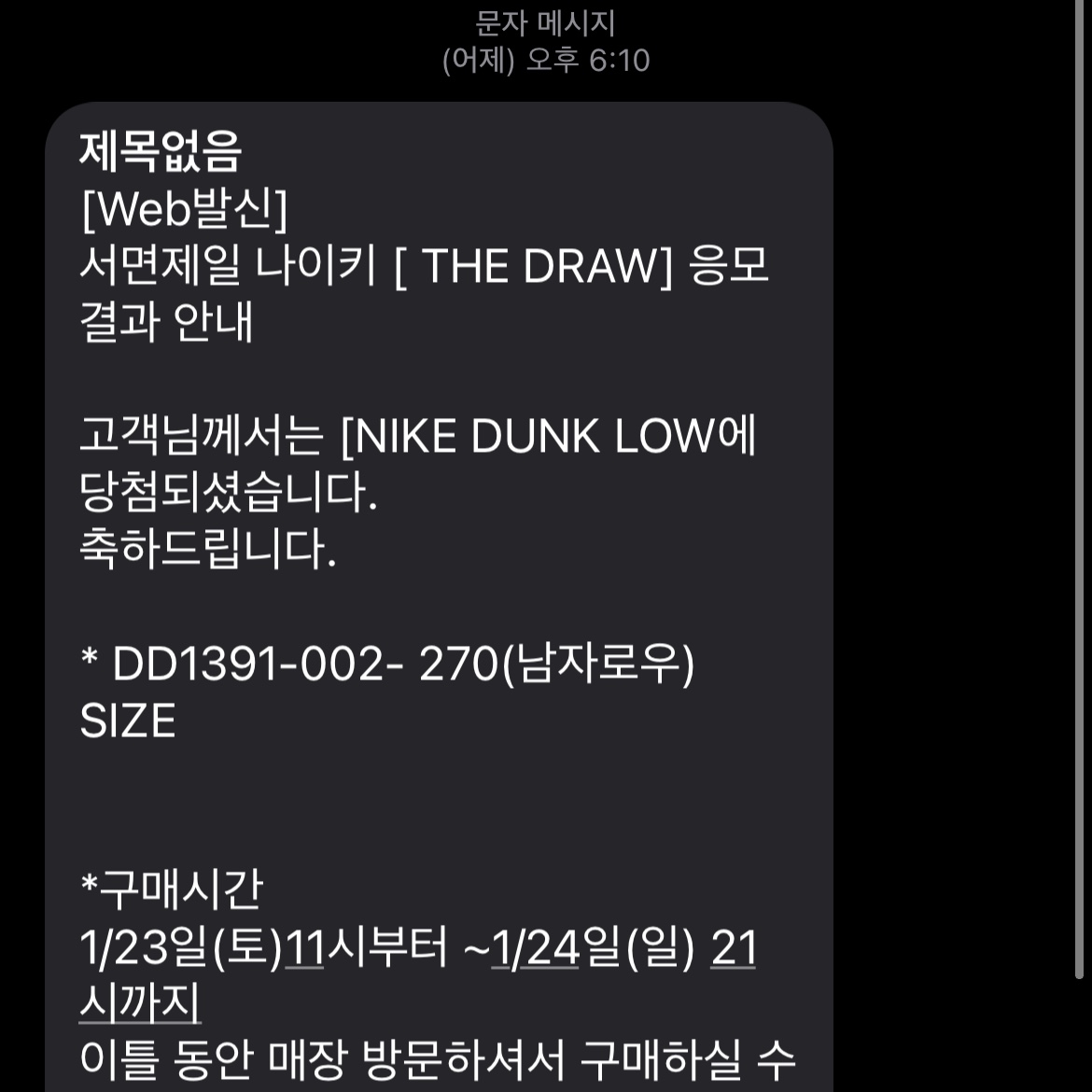 Nike Dunk Low Retro Medium Grey 착용 스타일